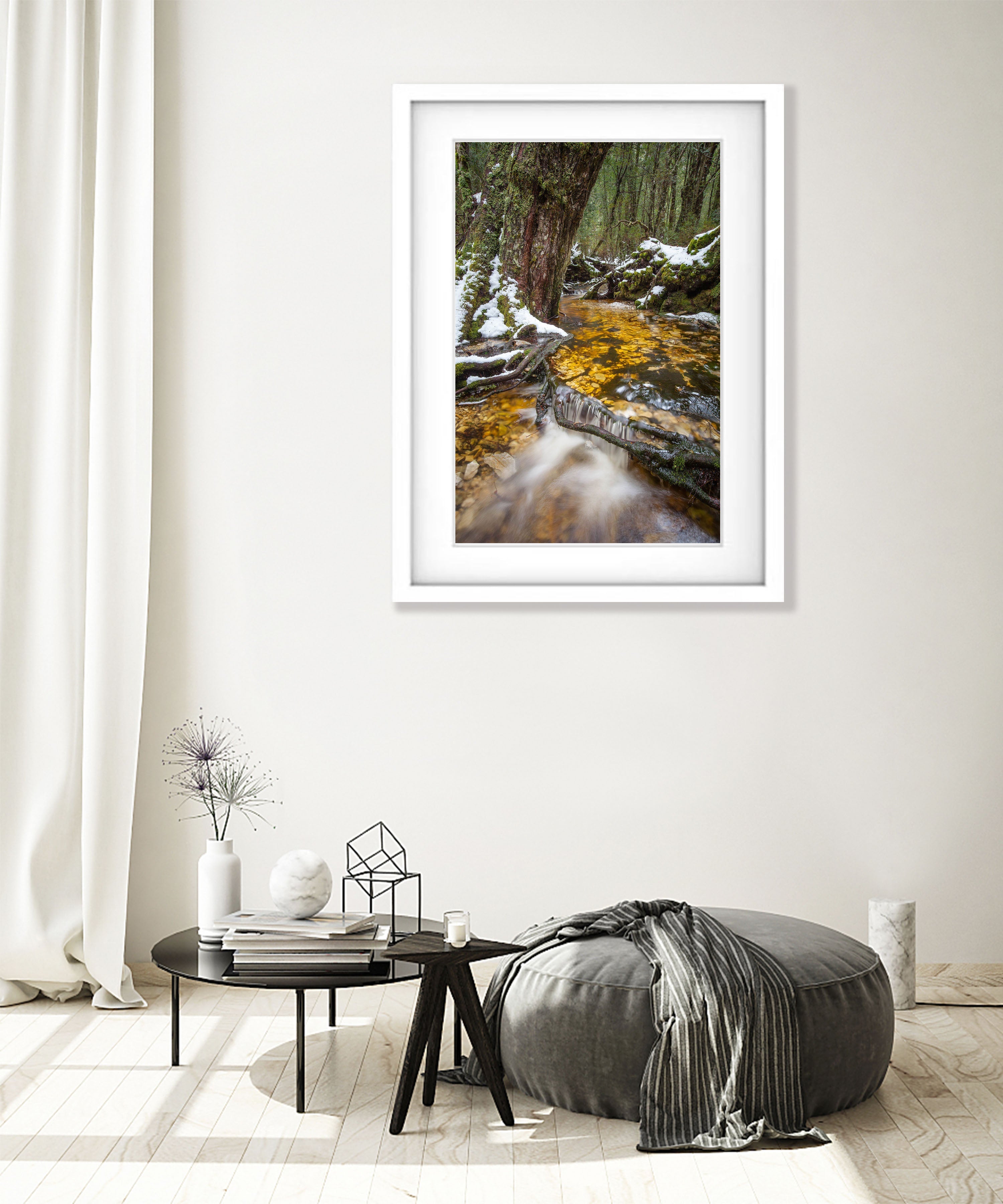 Ballroom Forest Stream, Cradle Mountain, Tasmania