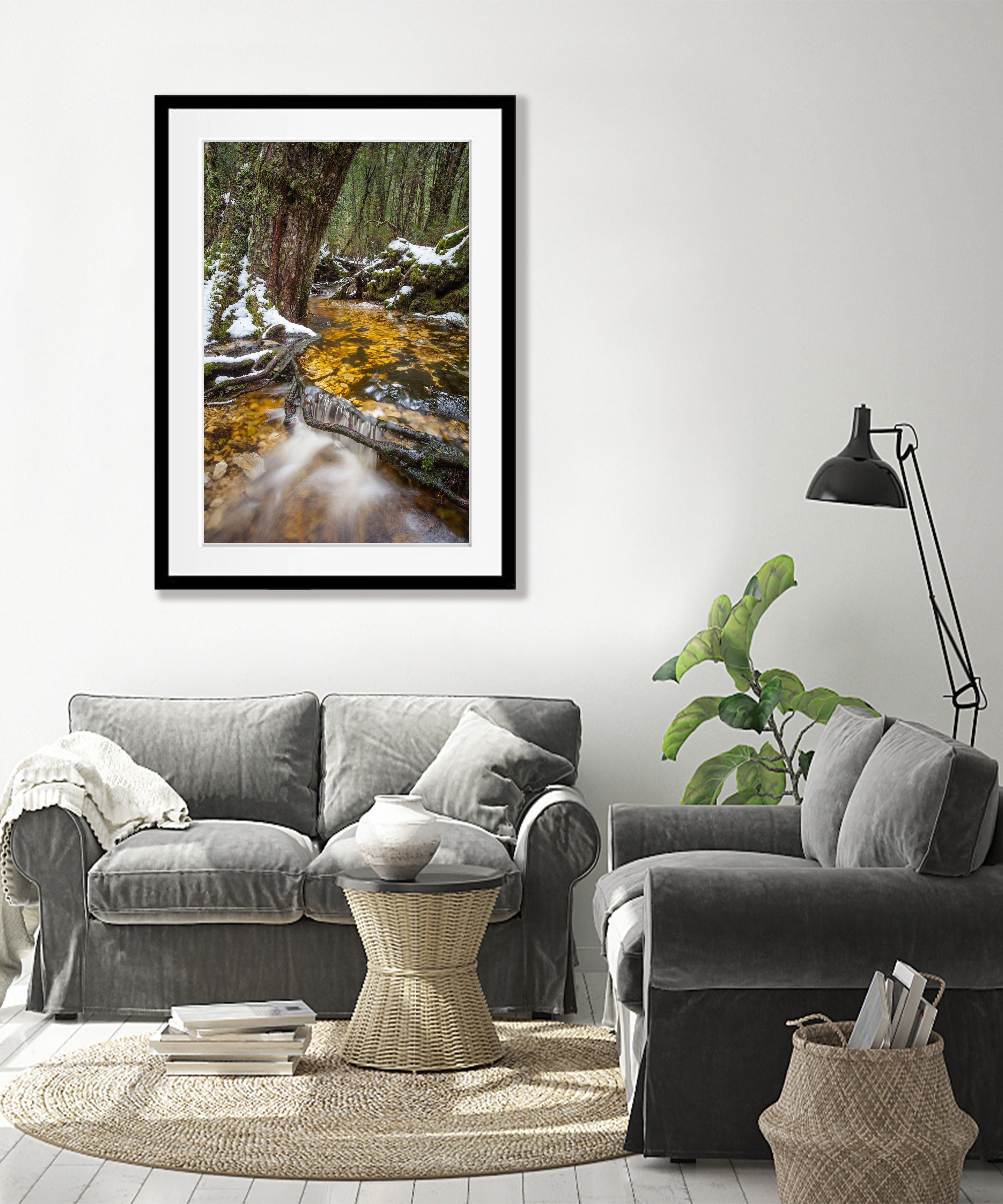 Ballroom Forest Stream, Cradle Mountain, Tasmania