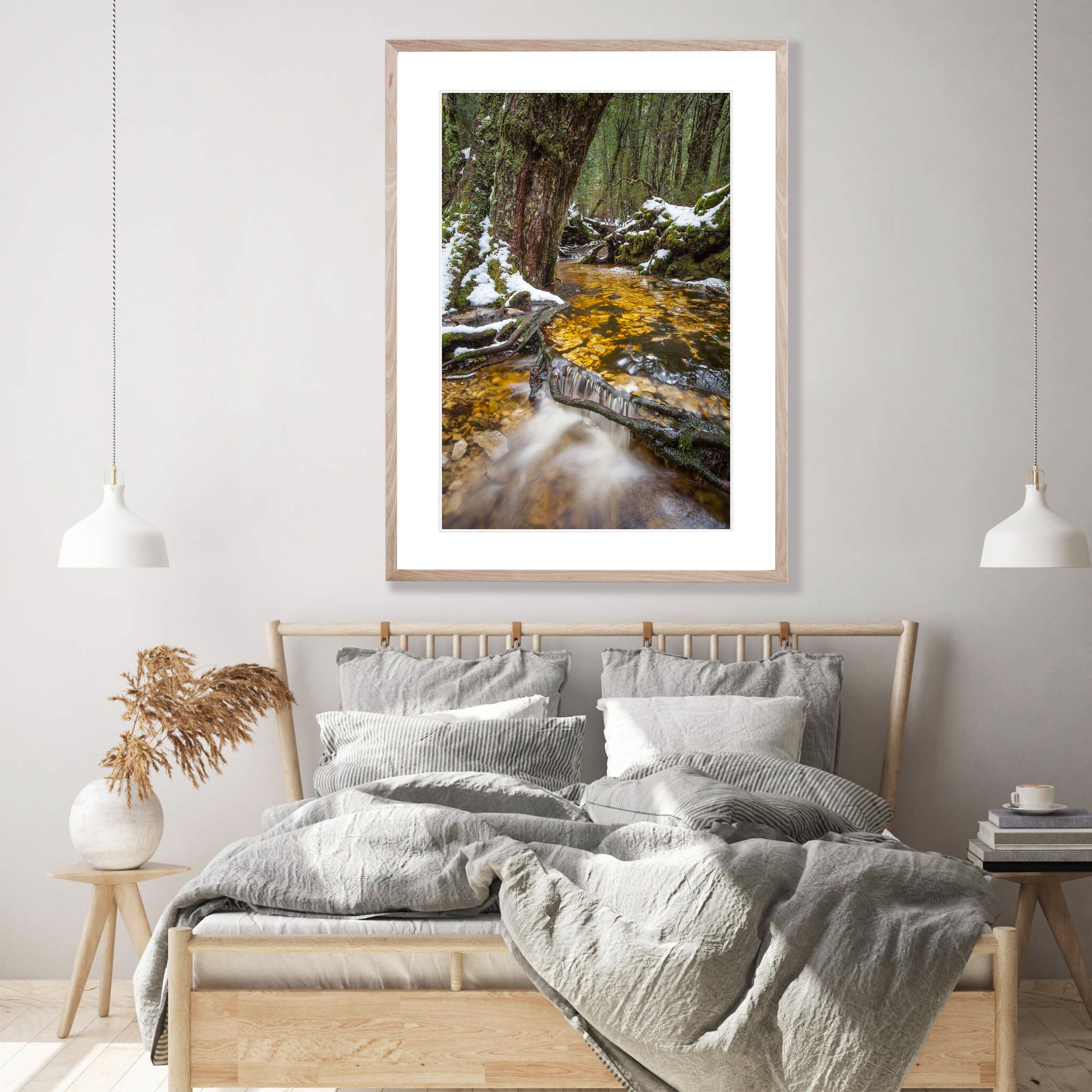 Ballroom Forest Stream, Cradle Mountain, Tasmania