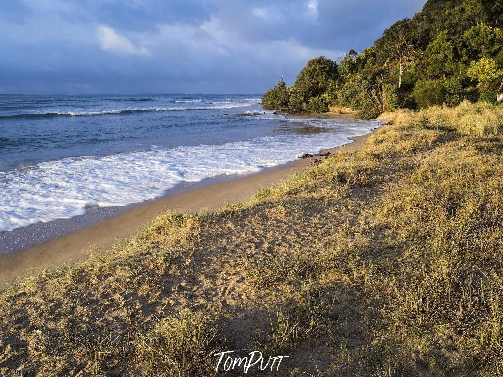 Seashore with small mounts of bushes and grasses, and dense greenery in the top right corner, Balnarring Beach - Mornington Peninsula