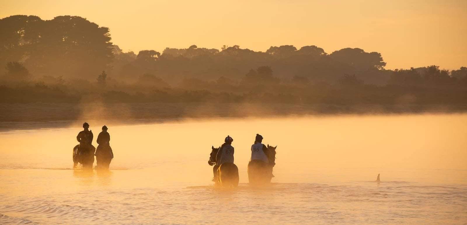 Two couple of horses standing far to each other with the feet of horses underwater, and a smoky fog in the far background, Balnarring Horses 13 - Mornington Peninsula Victoria  