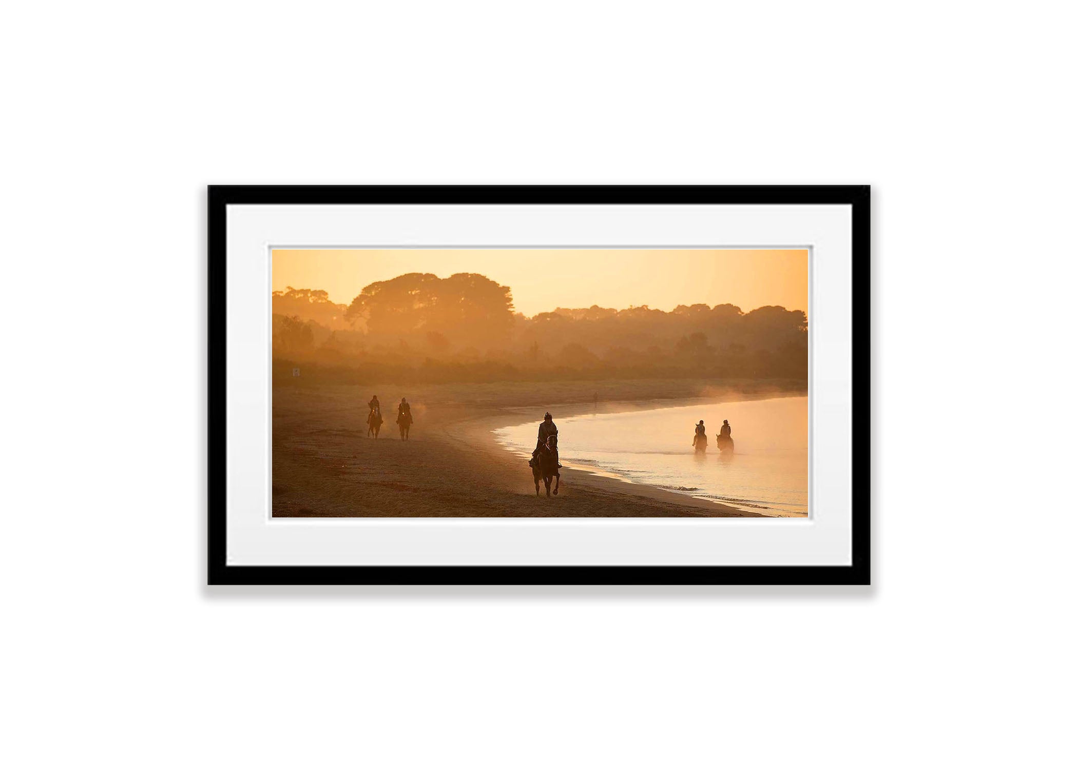Balnarring Horses No.3, Mornington Peninsula, VIC