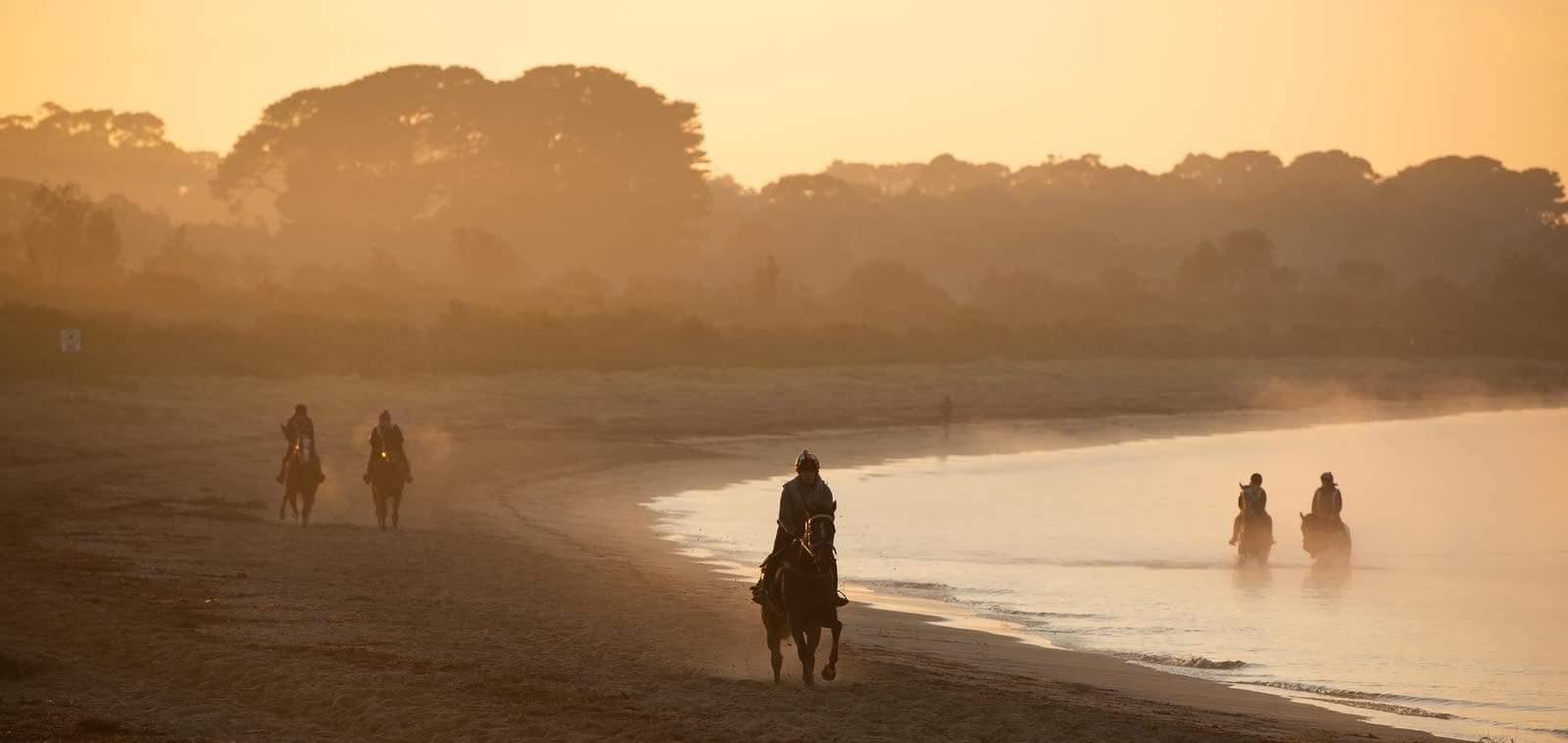 Two couple of horses and a single one with a horseman riding on them, running in the same direction, one couple on the sand, another couple in the feet water, and the singular one on the sand as well, Balnarring Horses 3