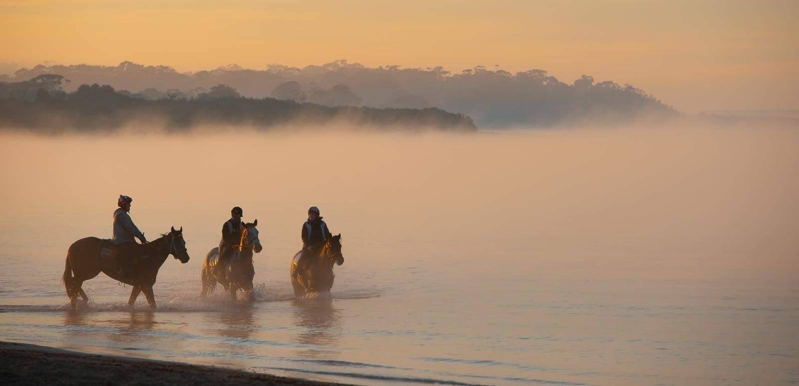 Three horses with a horseman riding on them walking with the feet of the horses underwater, a little dim view of the evening with smoky weather, Balnarring Horses 4 - Mornington Peninsula Victoria