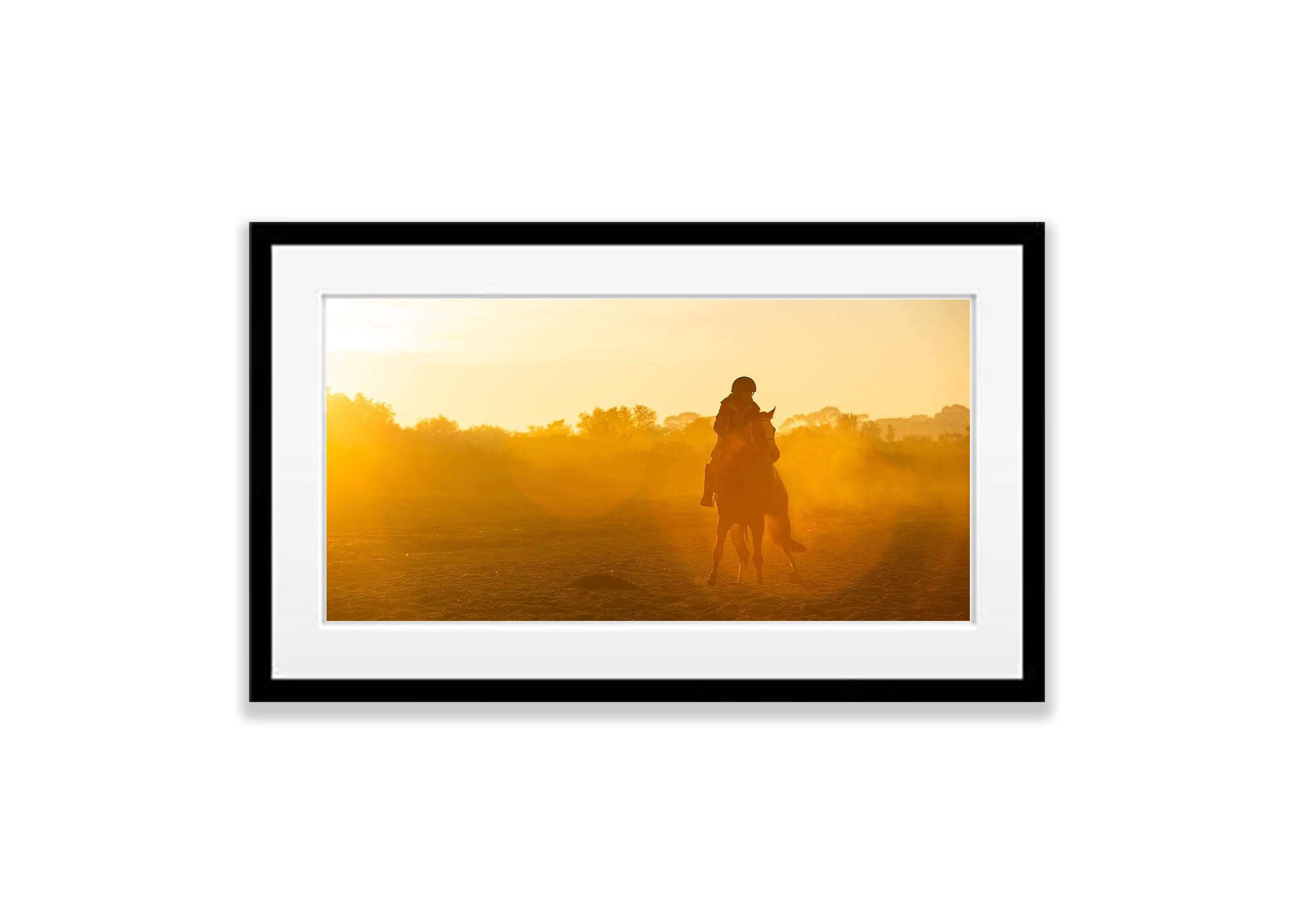 Balnarring Horses No.6, Mornington Peninsula, VIC