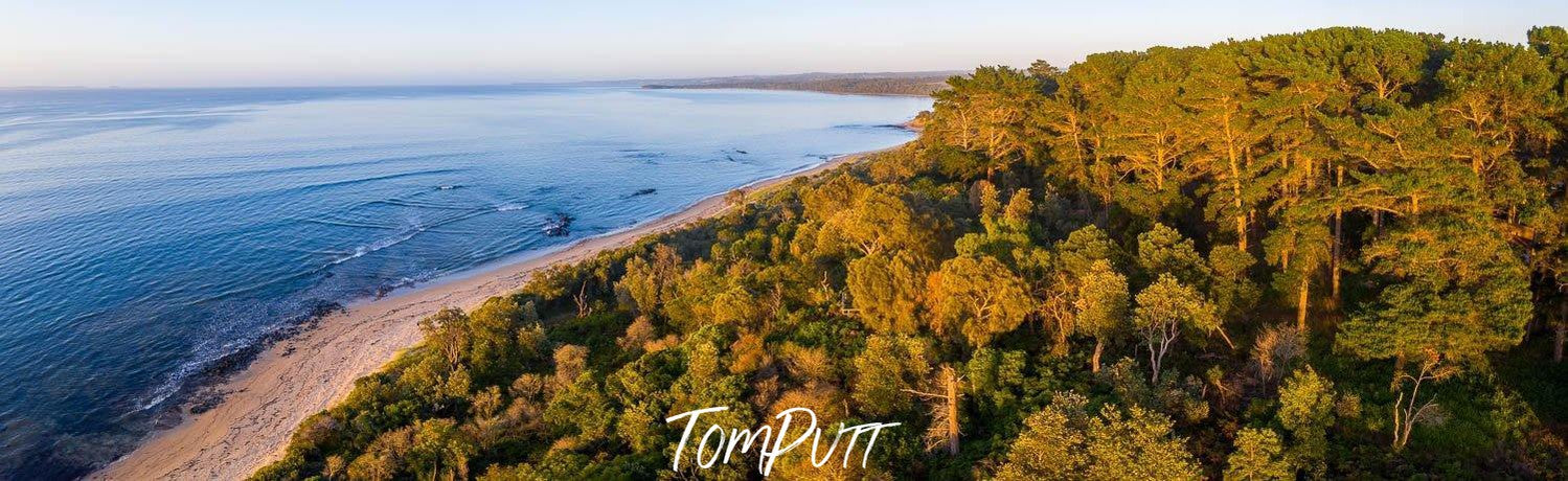 Thick Forest-like dense green hill area adjacent to the seashore with clear blue water, Balnarring Pines - Mornington Peninsula Victoria