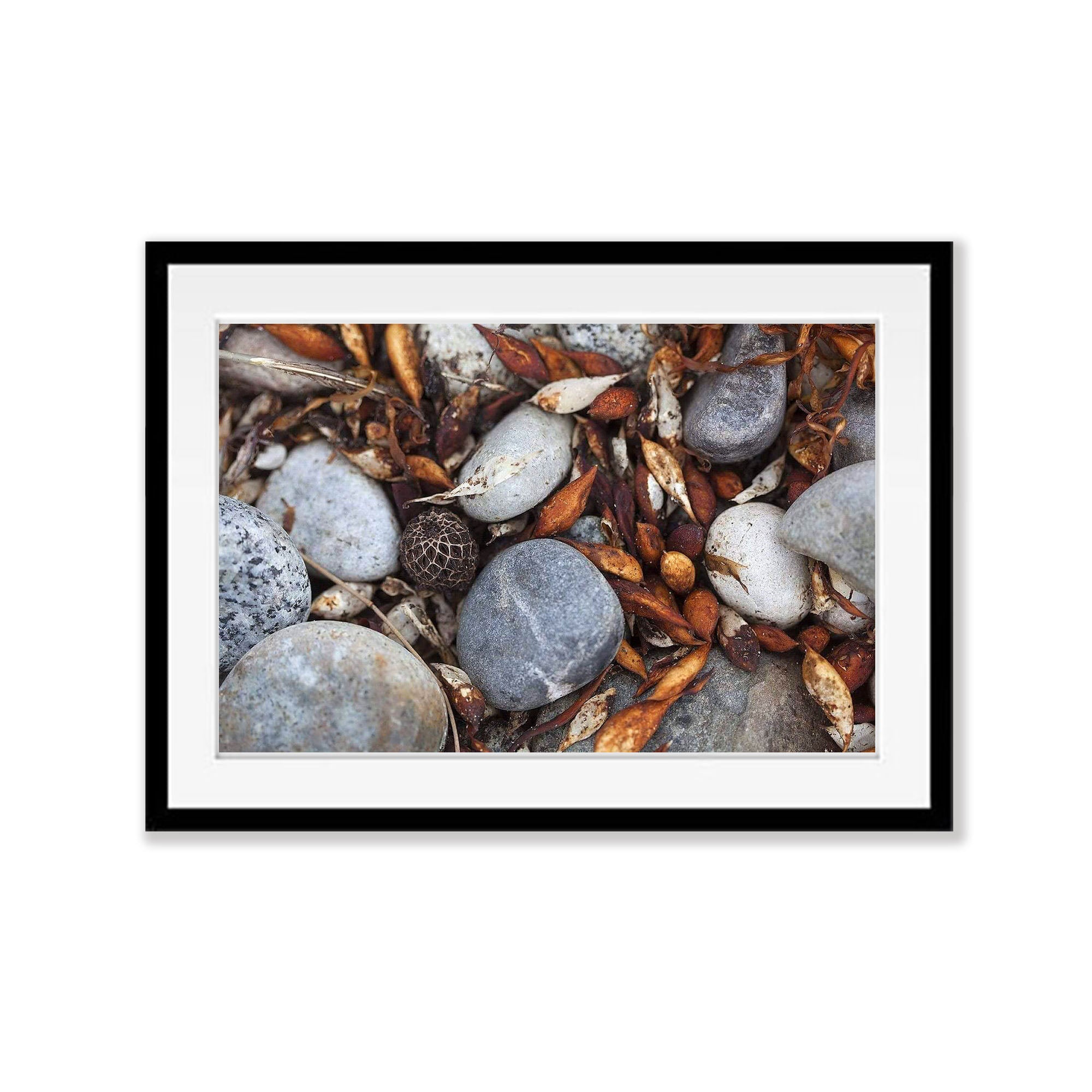 Beach Debris Freycinet, Tasmania