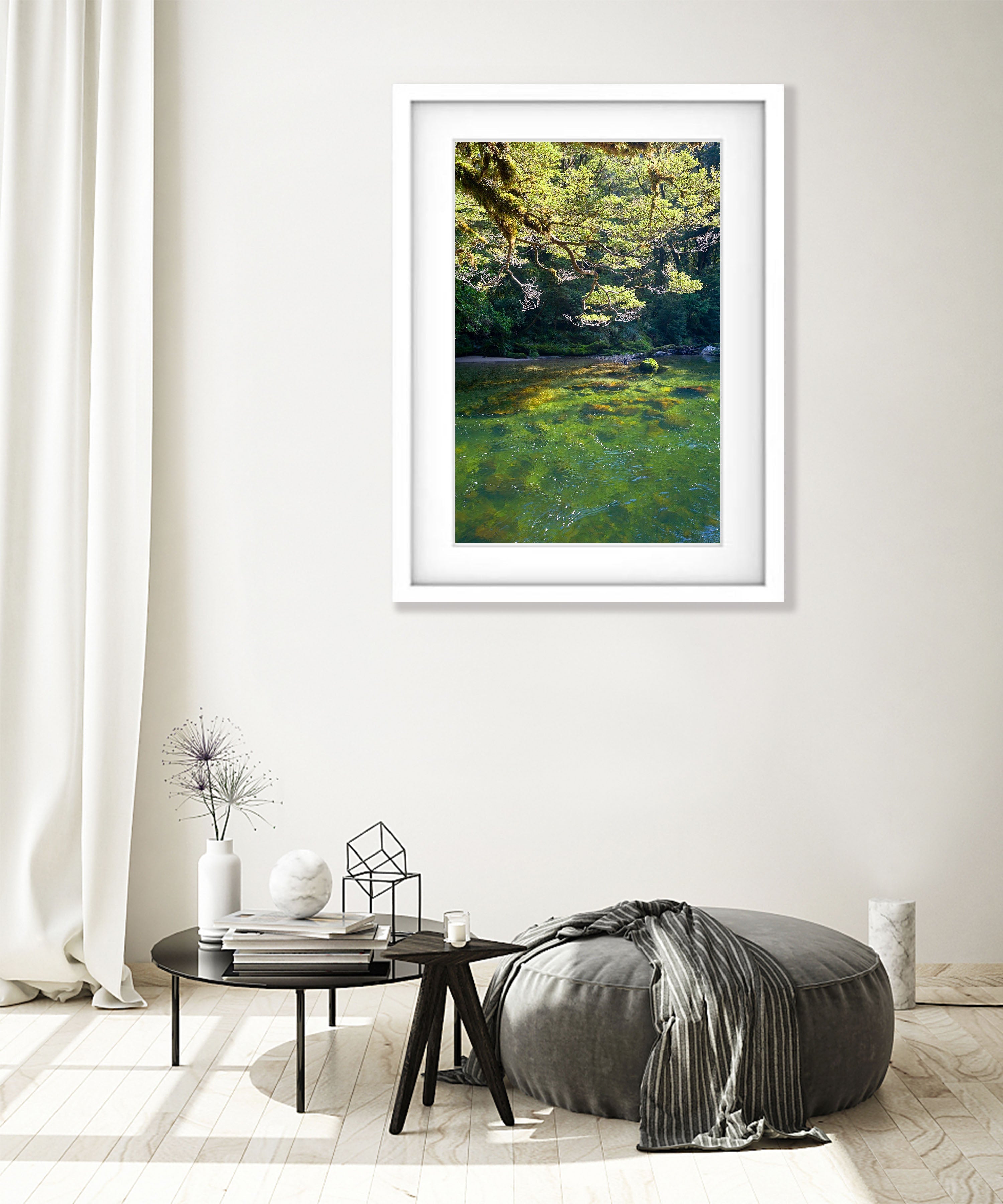 Beech Trees along the Clinton River, Milford Track - New Zealand