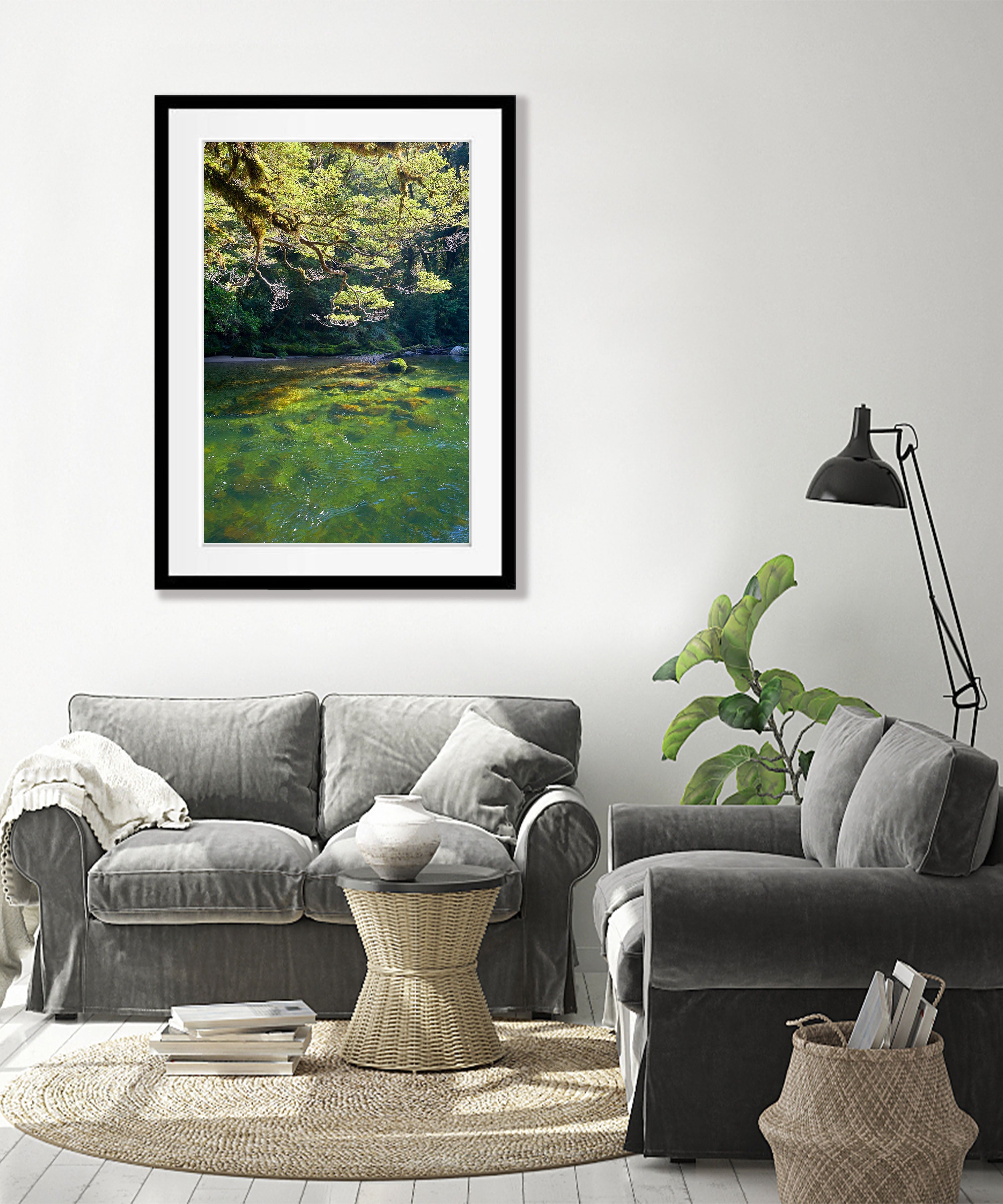 Beech Trees along the Clinton River, Milford Track - New Zealand