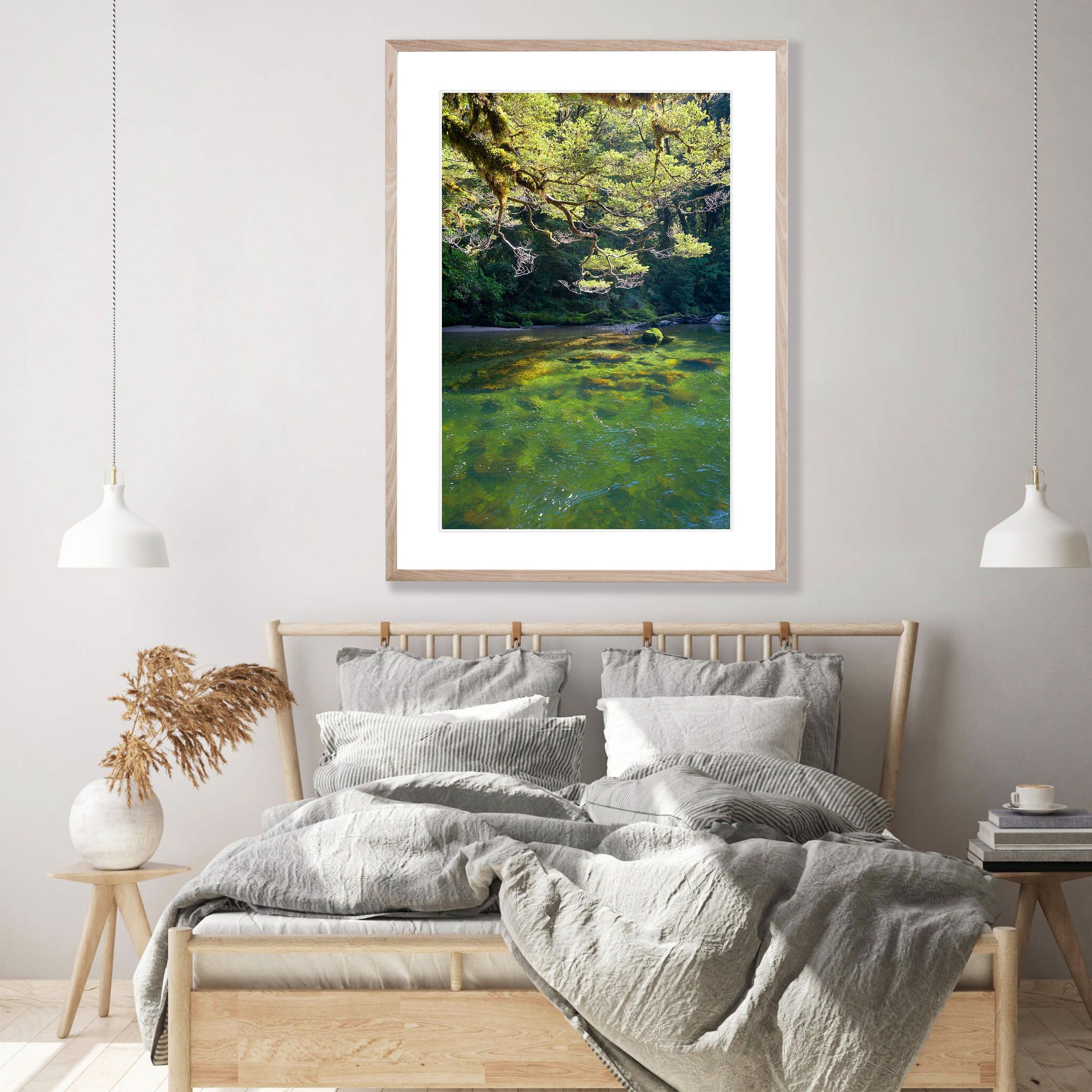 Beech Trees along the Clinton River, Milford Track - New Zealand