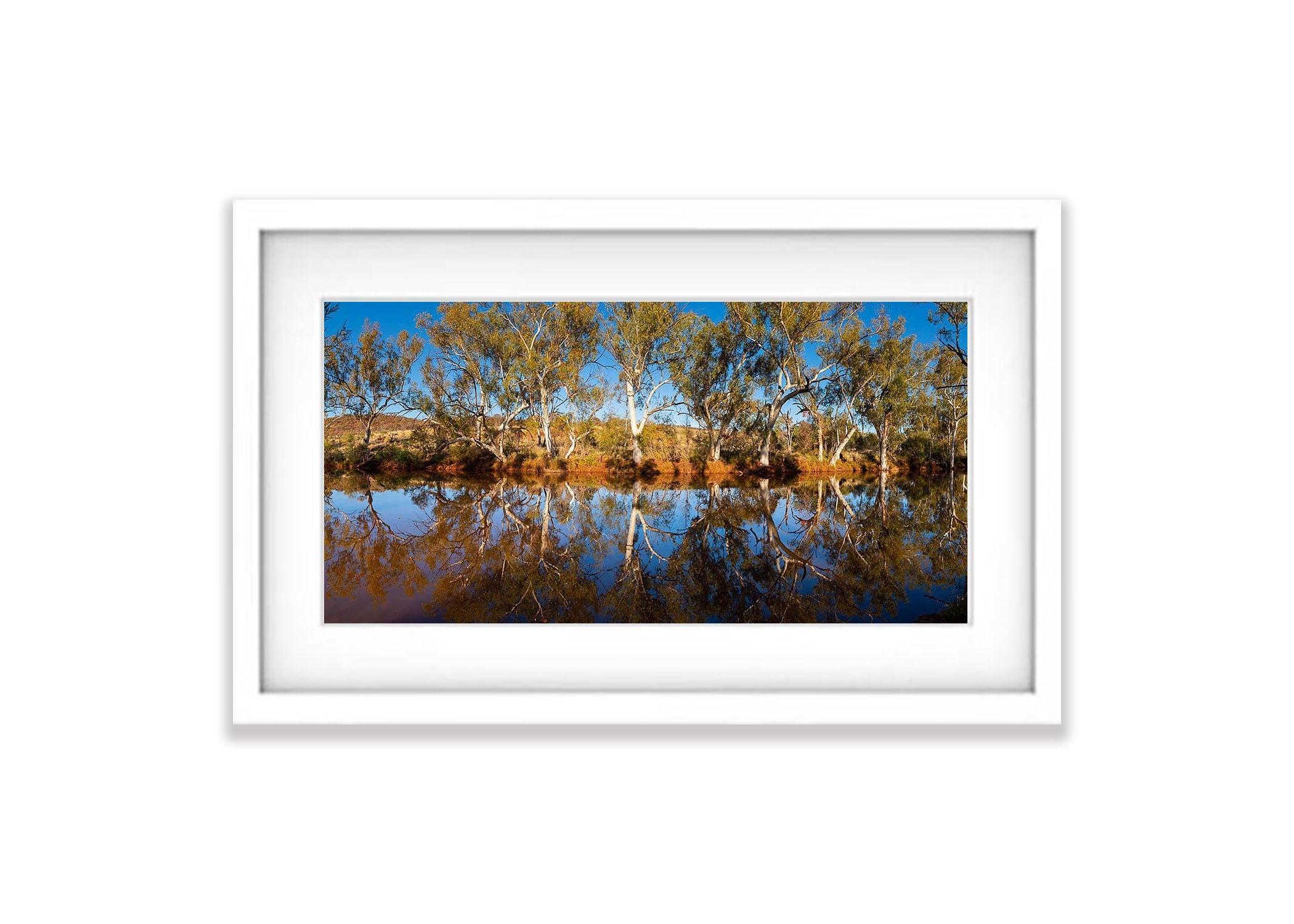 Bellary Creek Reflections, The Pilbara