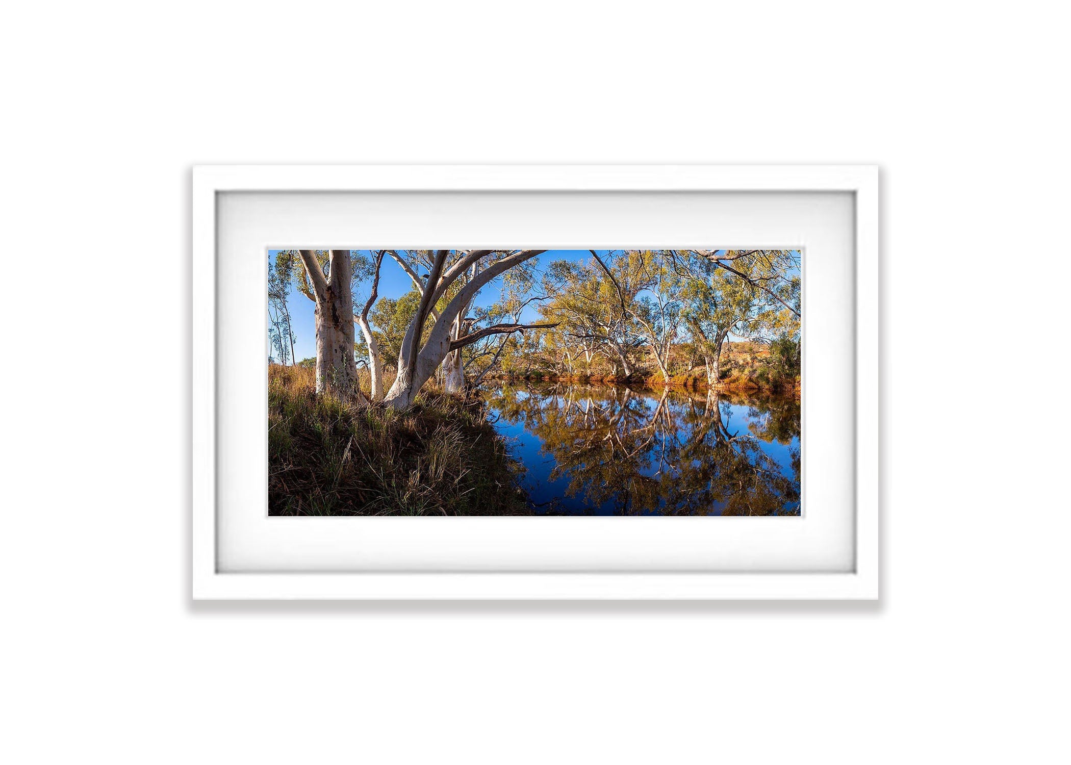 Bellary Creek - The Pilbara