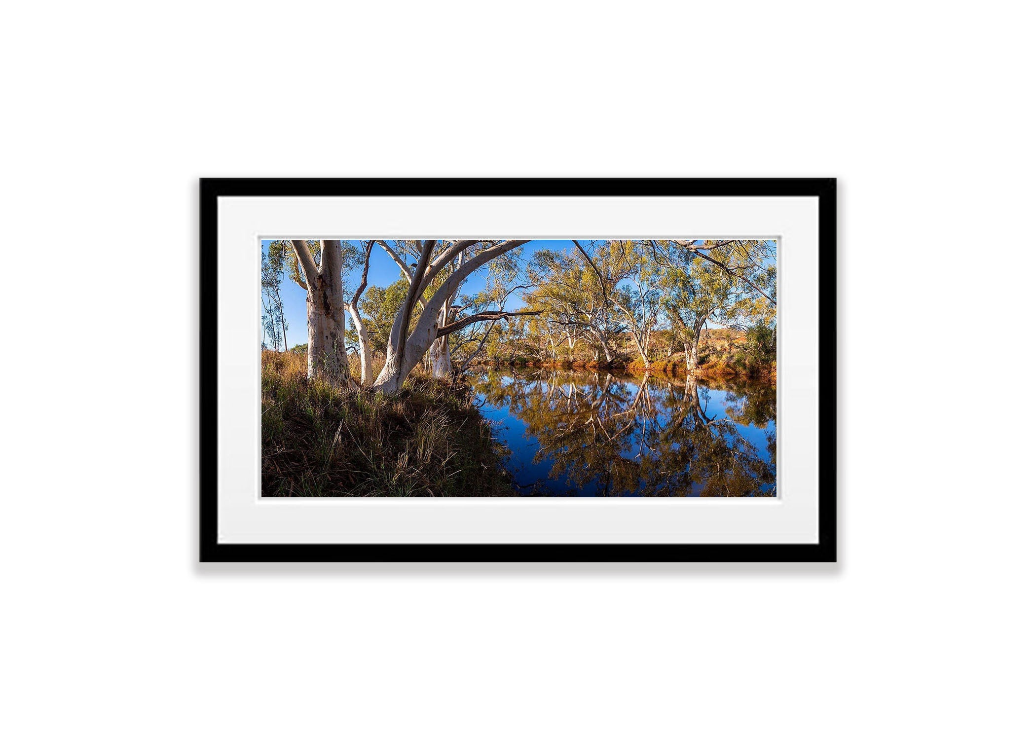 Bellary Creek - The Pilbara