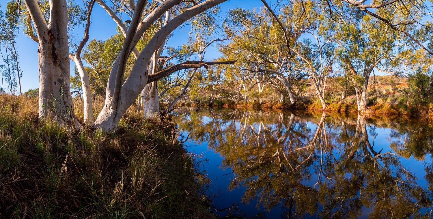 Bellary Creek - The Pilbara