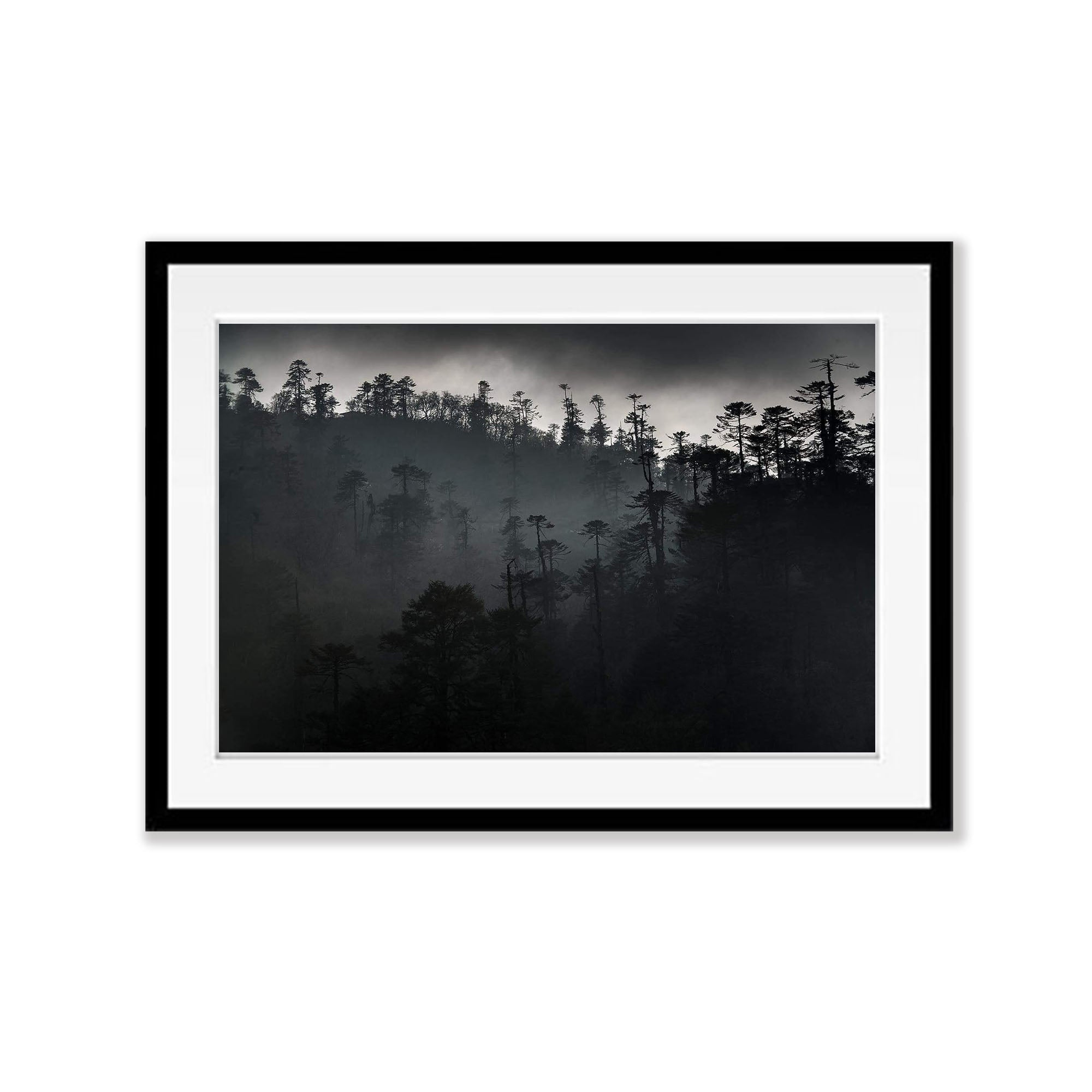 Black Forest No.2, Bhutan