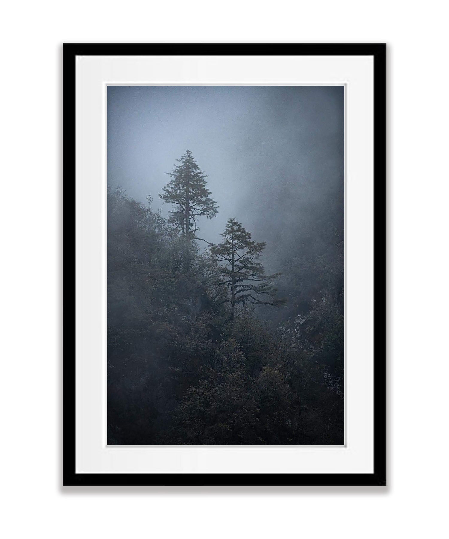 Black Forest No.3, Bhutan