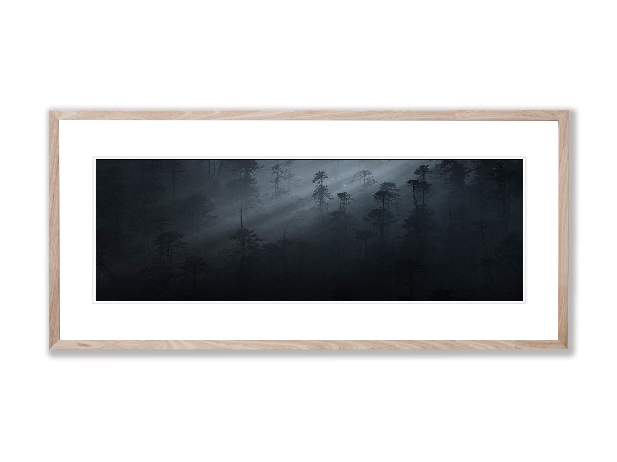 Black Forest Panorama Bhutan