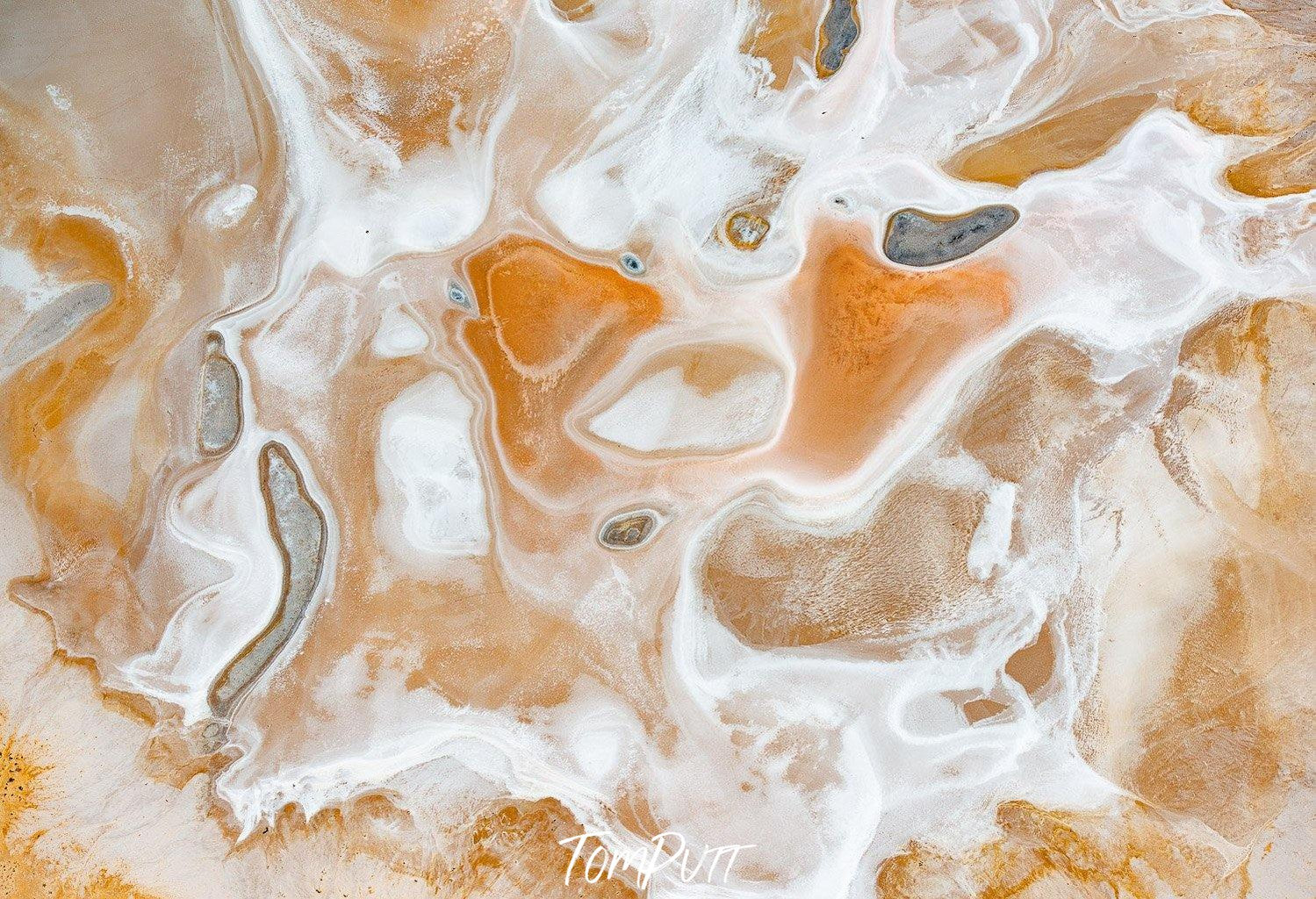 A random texture of a tea-like liquid with a milk-like liquid, with an amoeba-like cell in between, Blotched