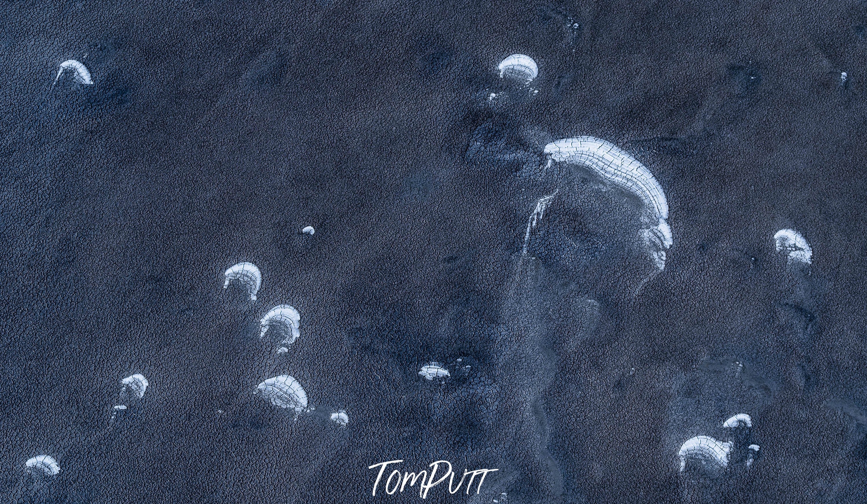 Blue Moons, Lake Eyre, SA