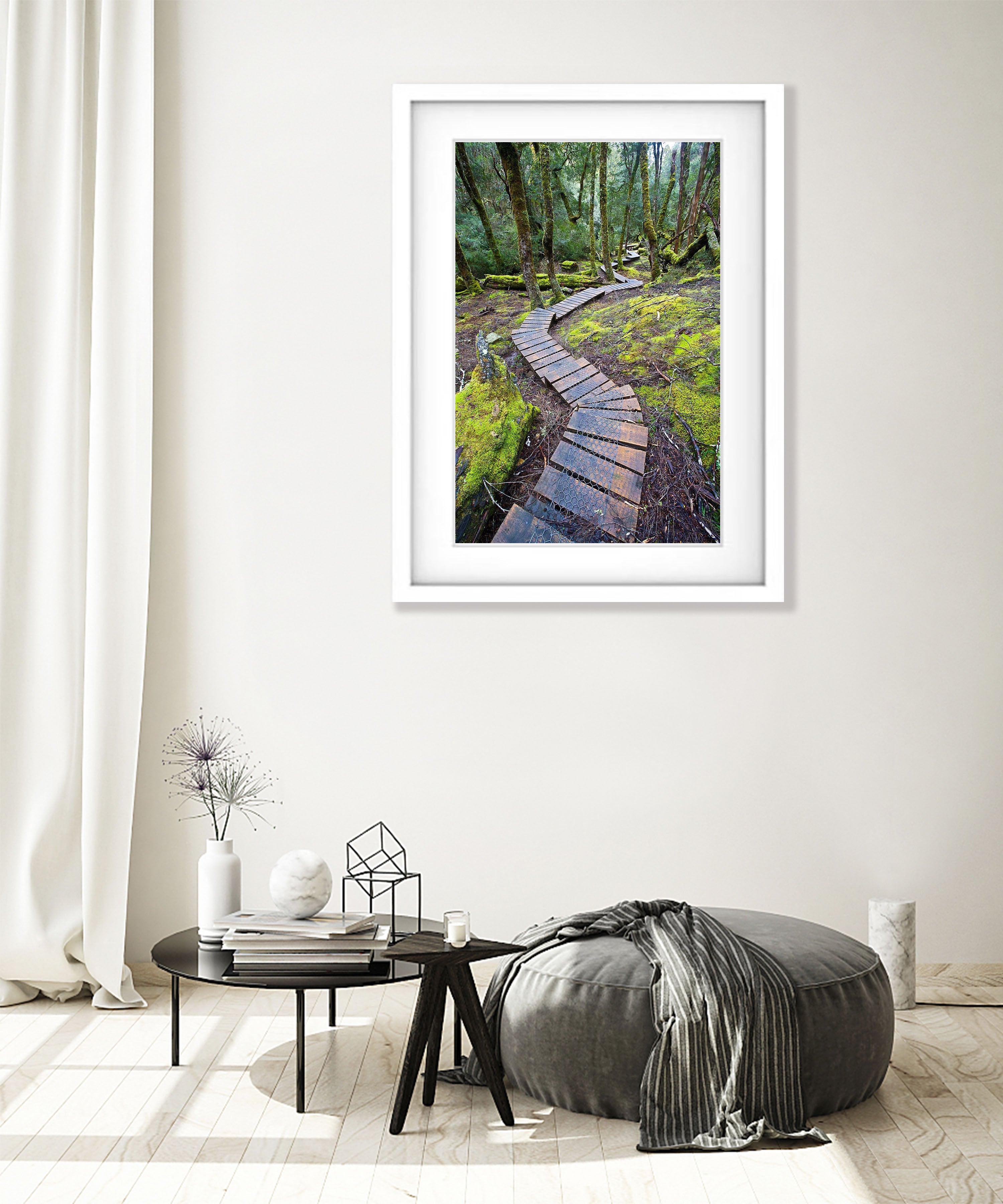 Boardwalk through rainforest, Cradle Mountain, Tasmania