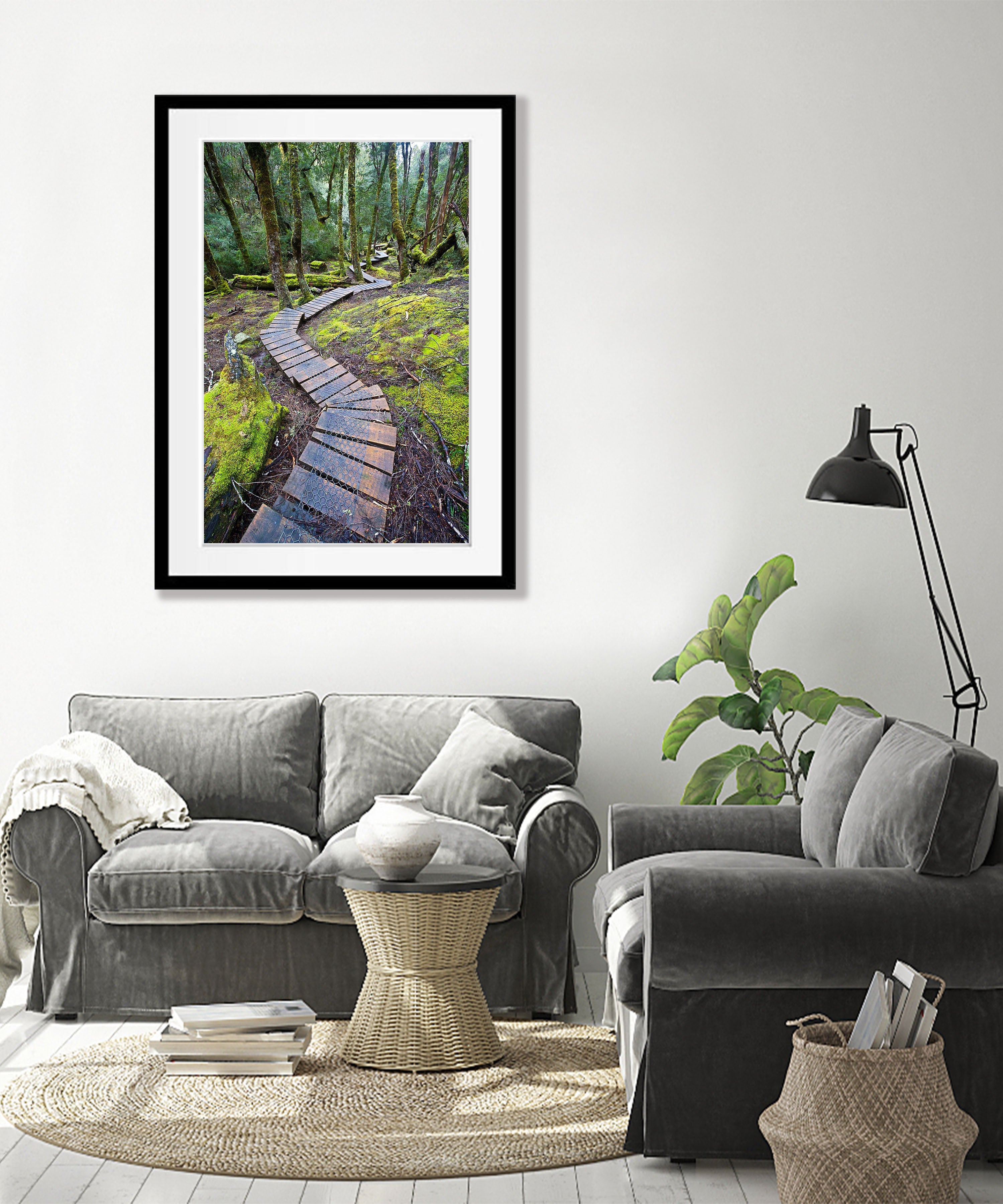 Boardwalk through rainforest, Cradle Mountain, Tasmania