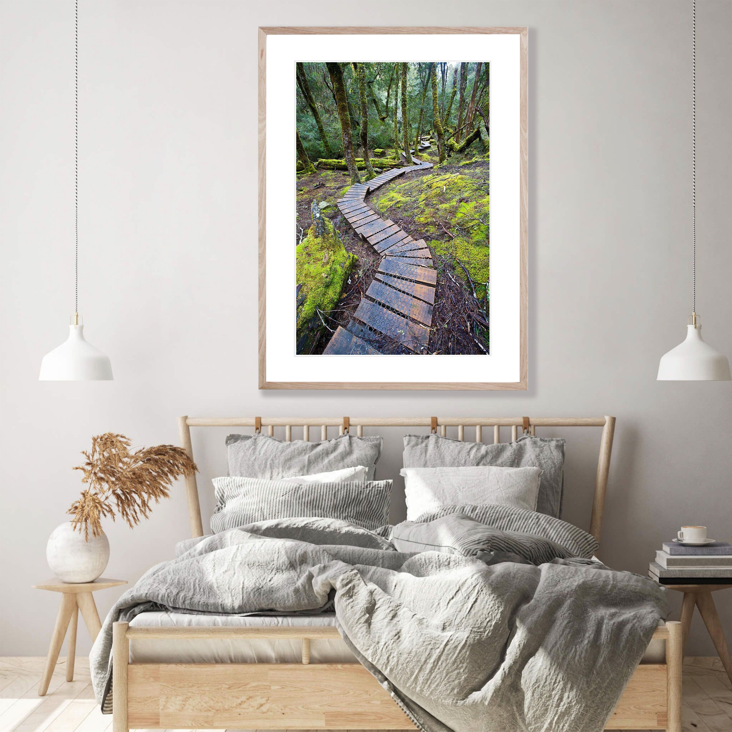 Boardwalk through rainforest, Cradle Mountain, Tasmania