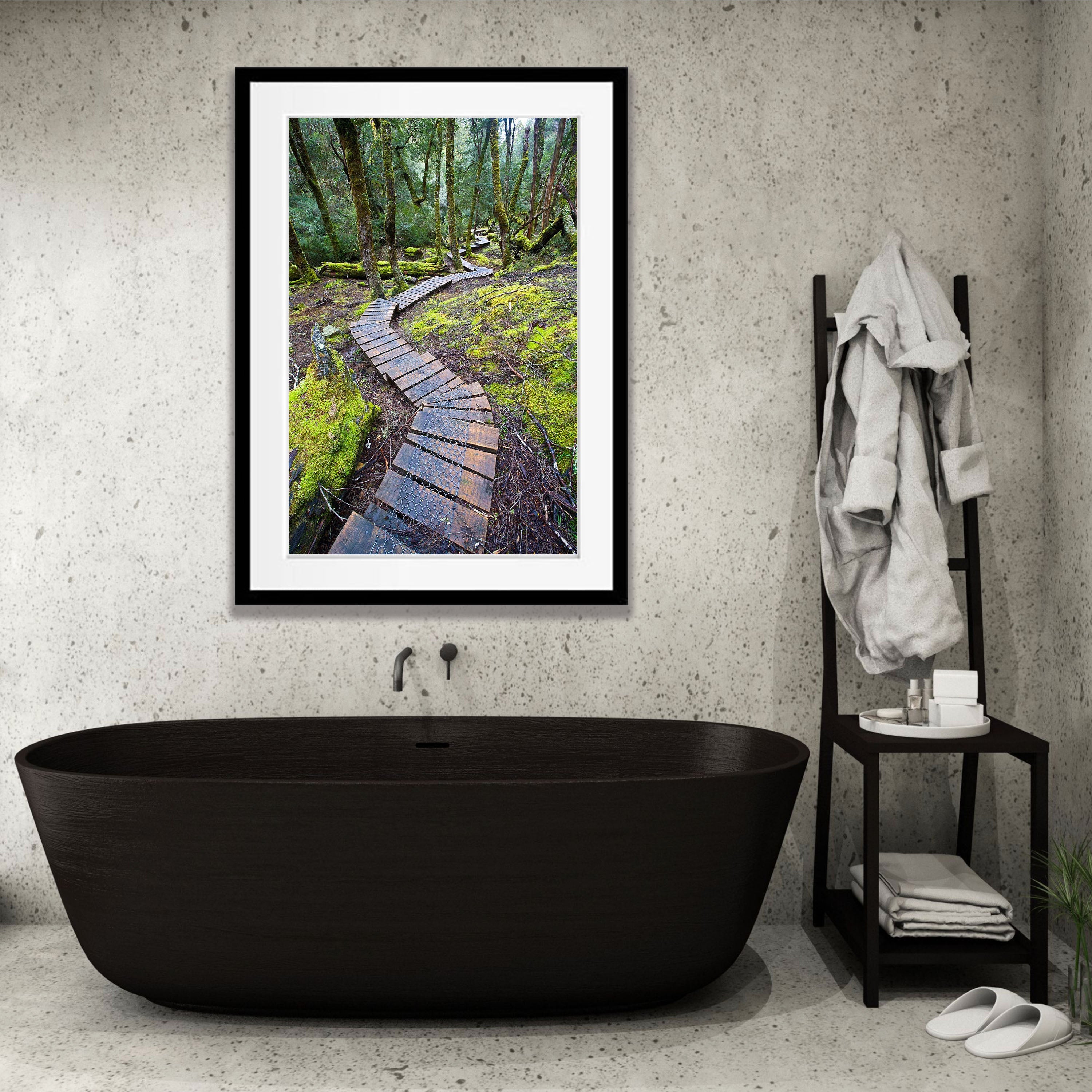 Boardwalk through rainforest, Cradle Mountain, Tasmania