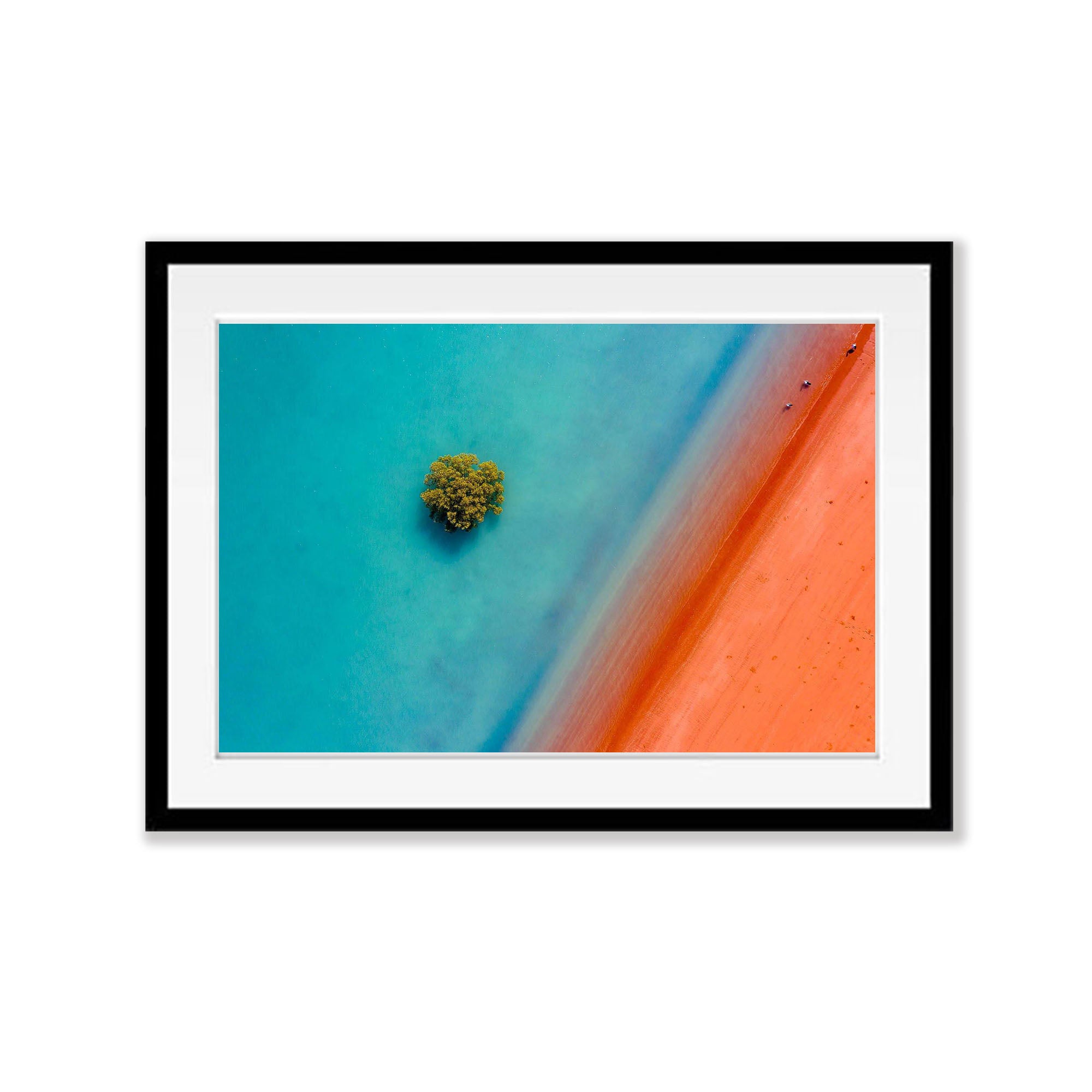 Lone Mangrove, Broome, Western Australia