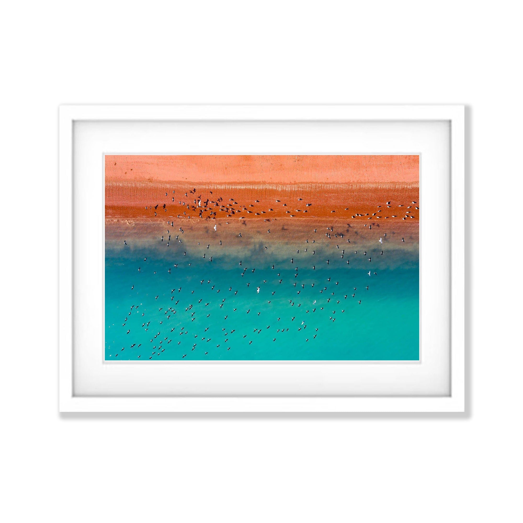 Serene flight, Broome