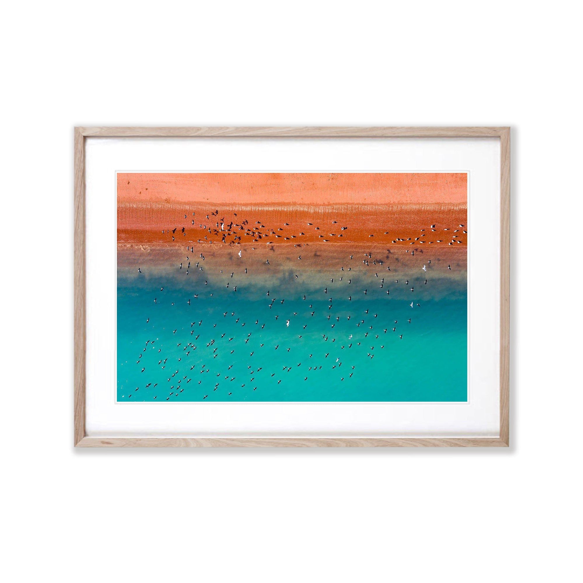 Serene flight, Broome