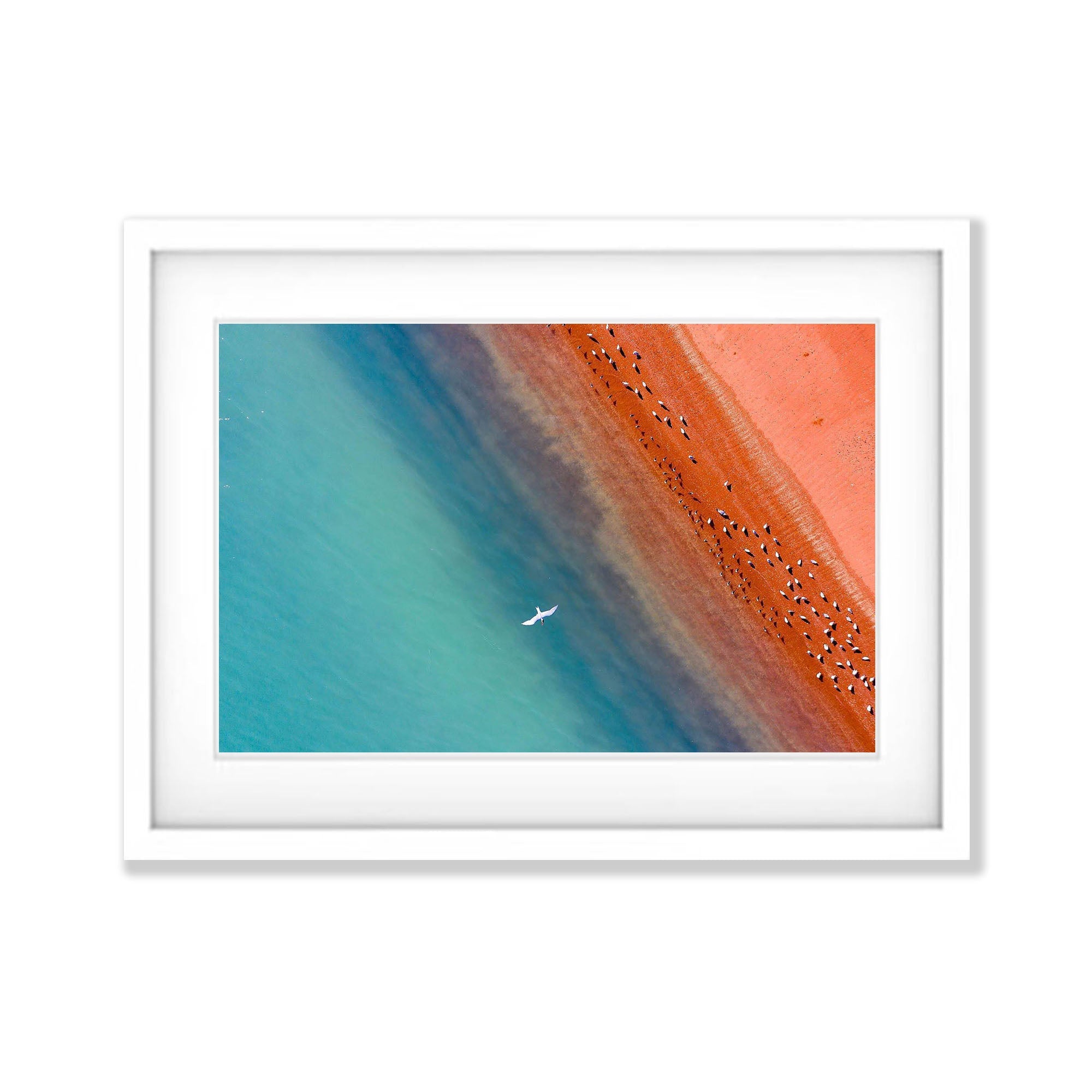 Solitary freedom, Broome
