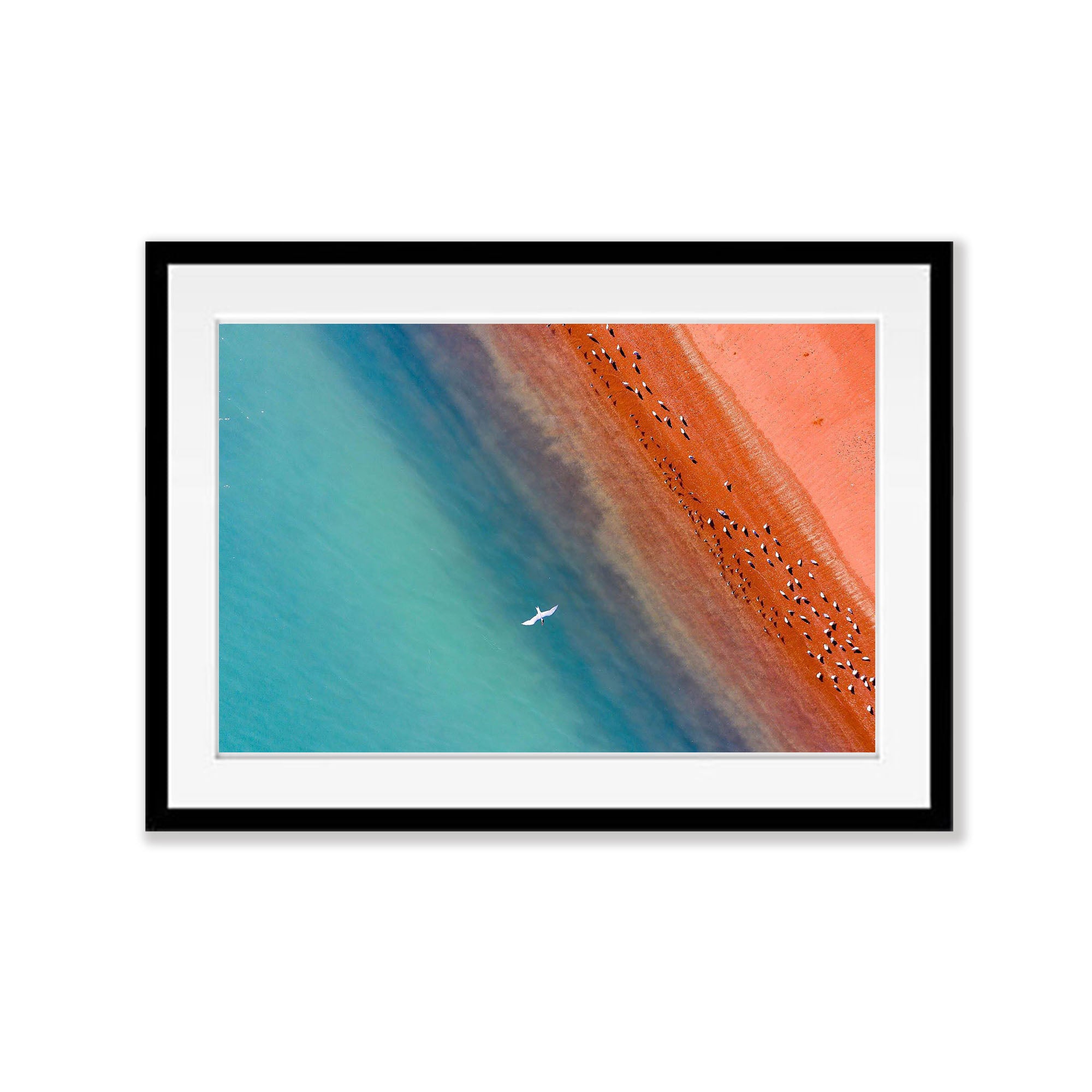 Solitary freedom, Broome