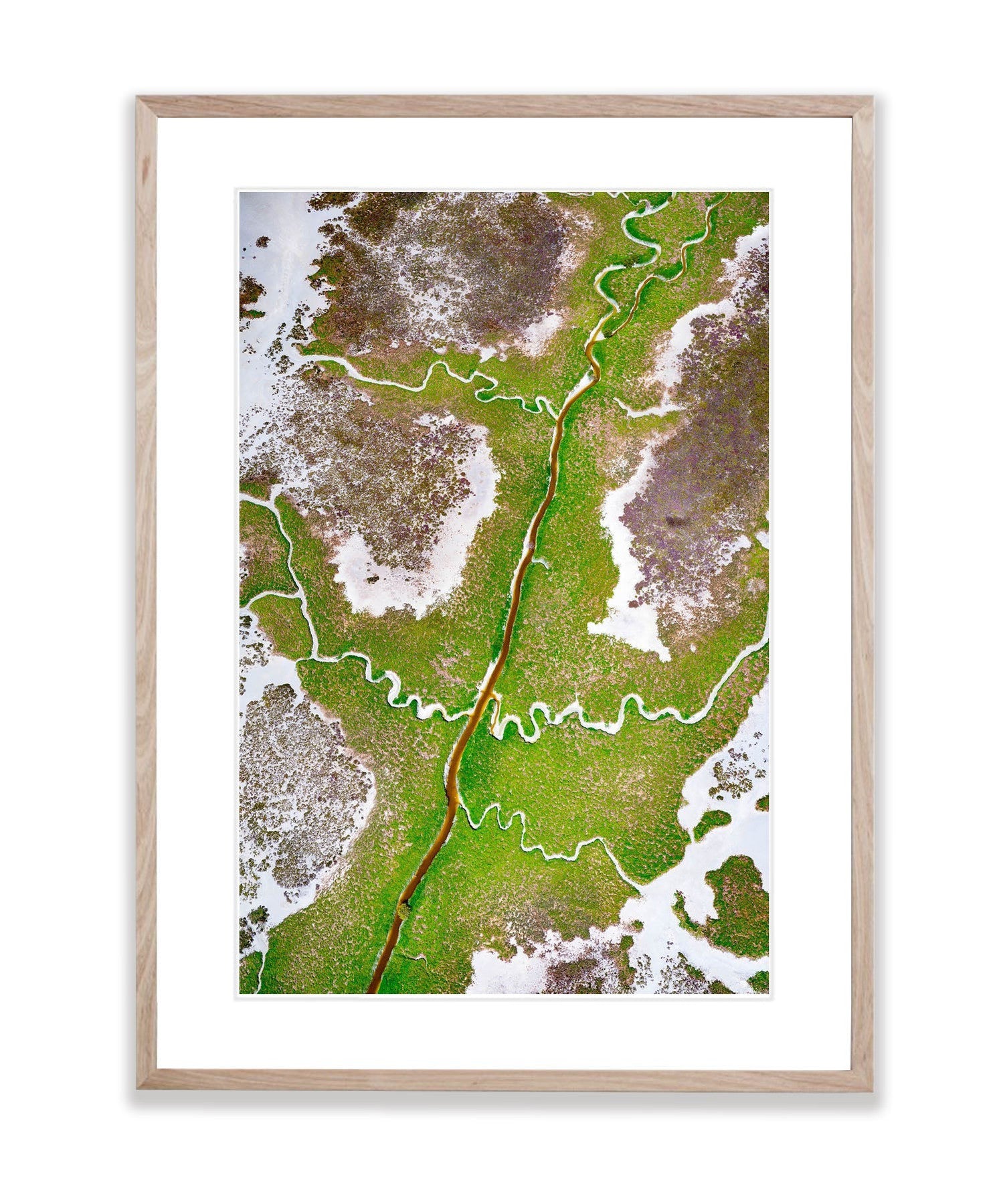 Nature's Veins, Broome