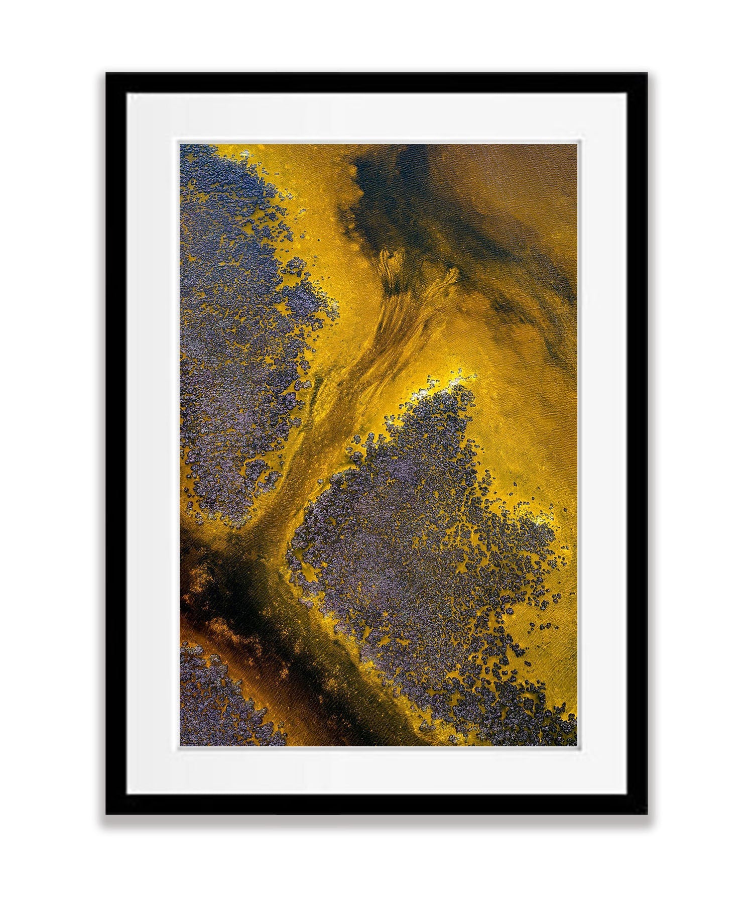Golden Harmony, Broome