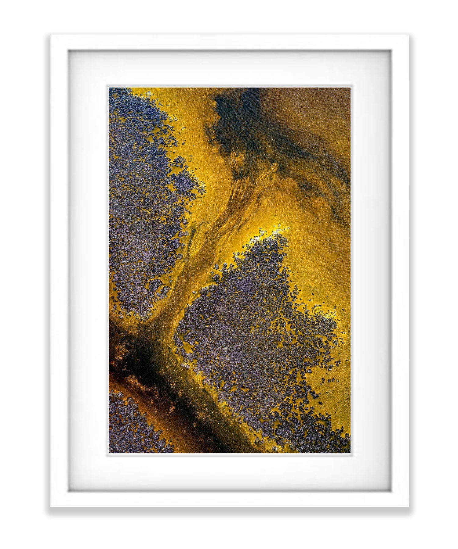 Golden Harmony, Broome