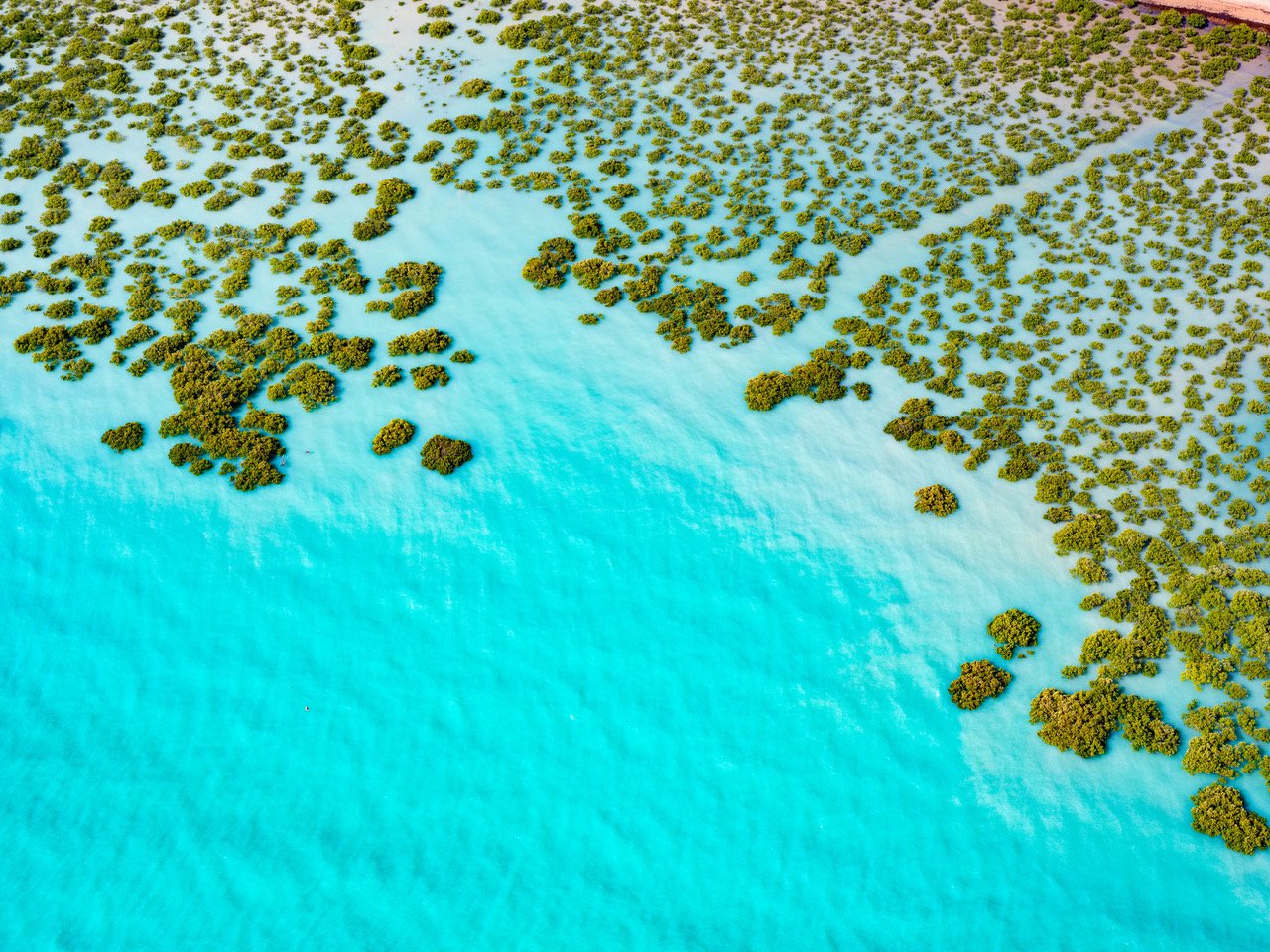 Aerial view of the sea with a lot of small trees on the water, Broome #39