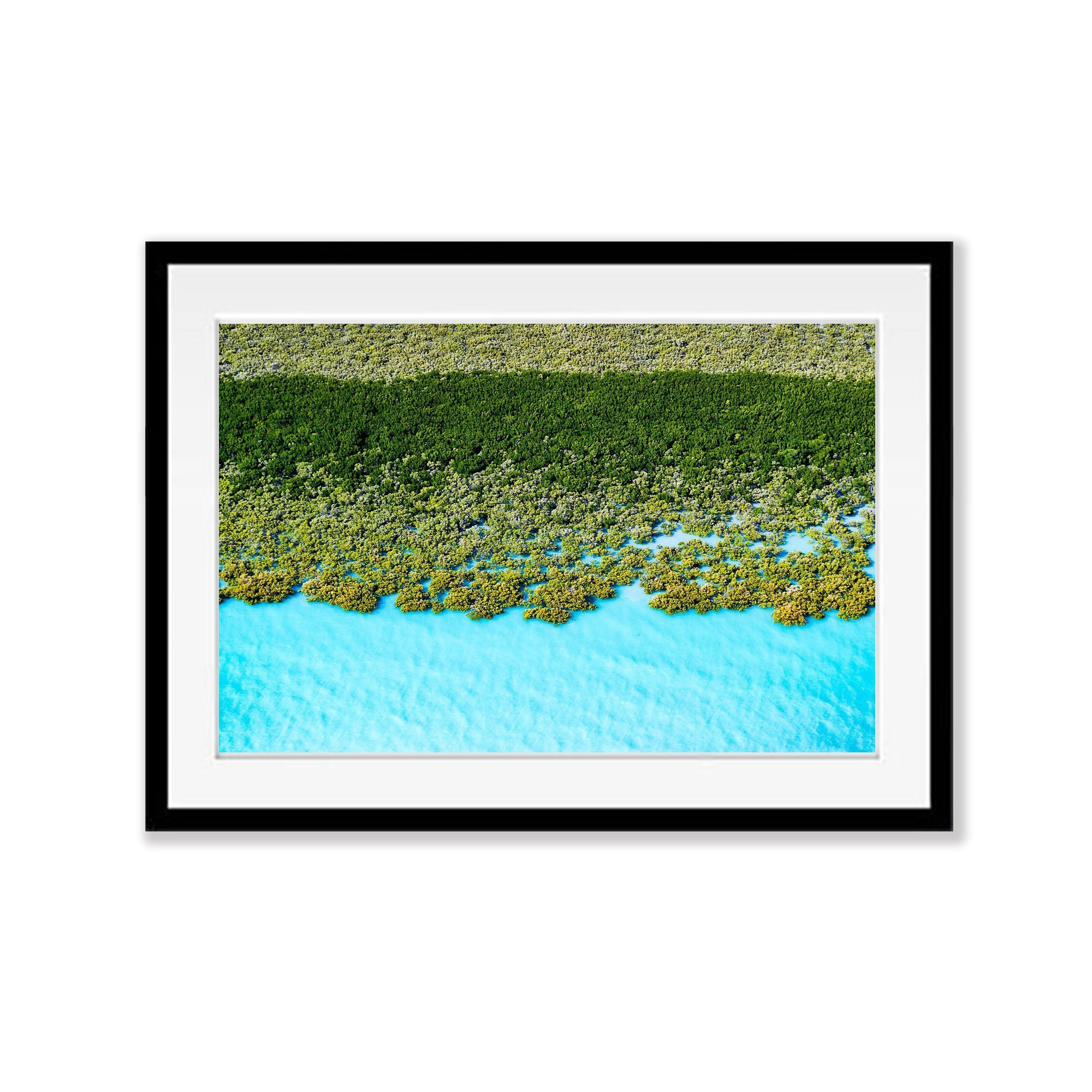 Verdant Tranquility, Broome