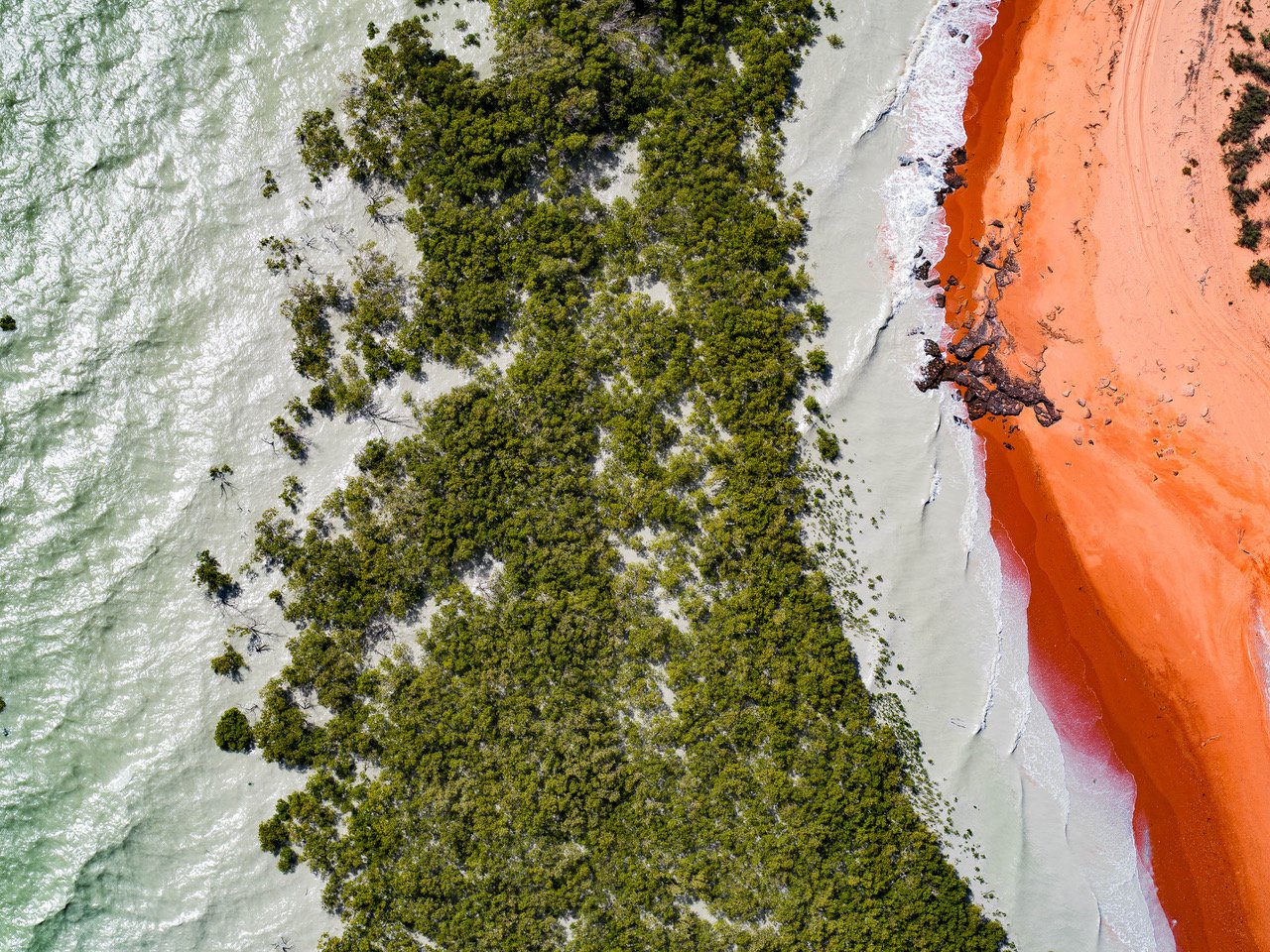 Aerial view of the forest having white wet sand, and an orange color land right corner, Broome #57