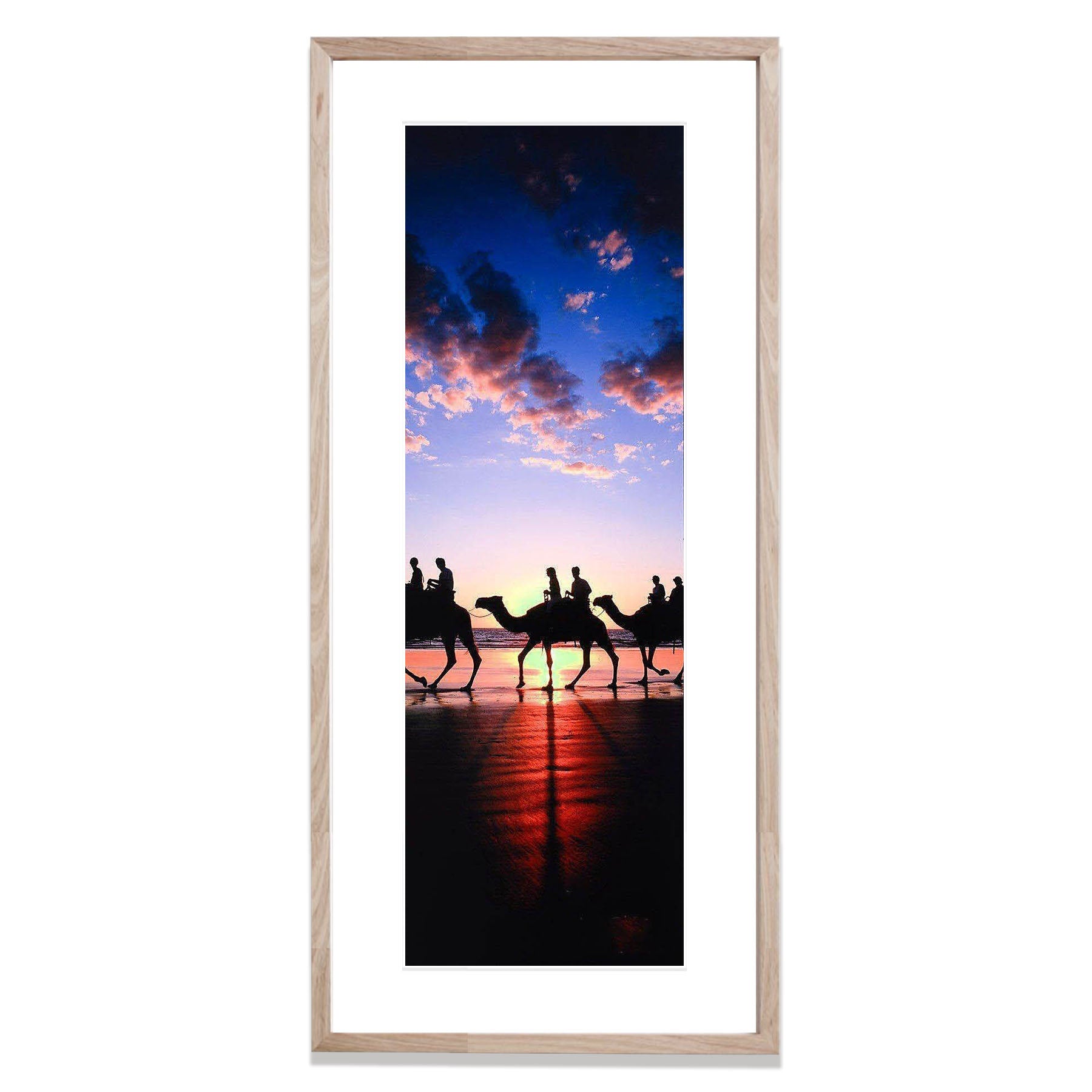 Broome Camels, The Kimberley, Western Australia