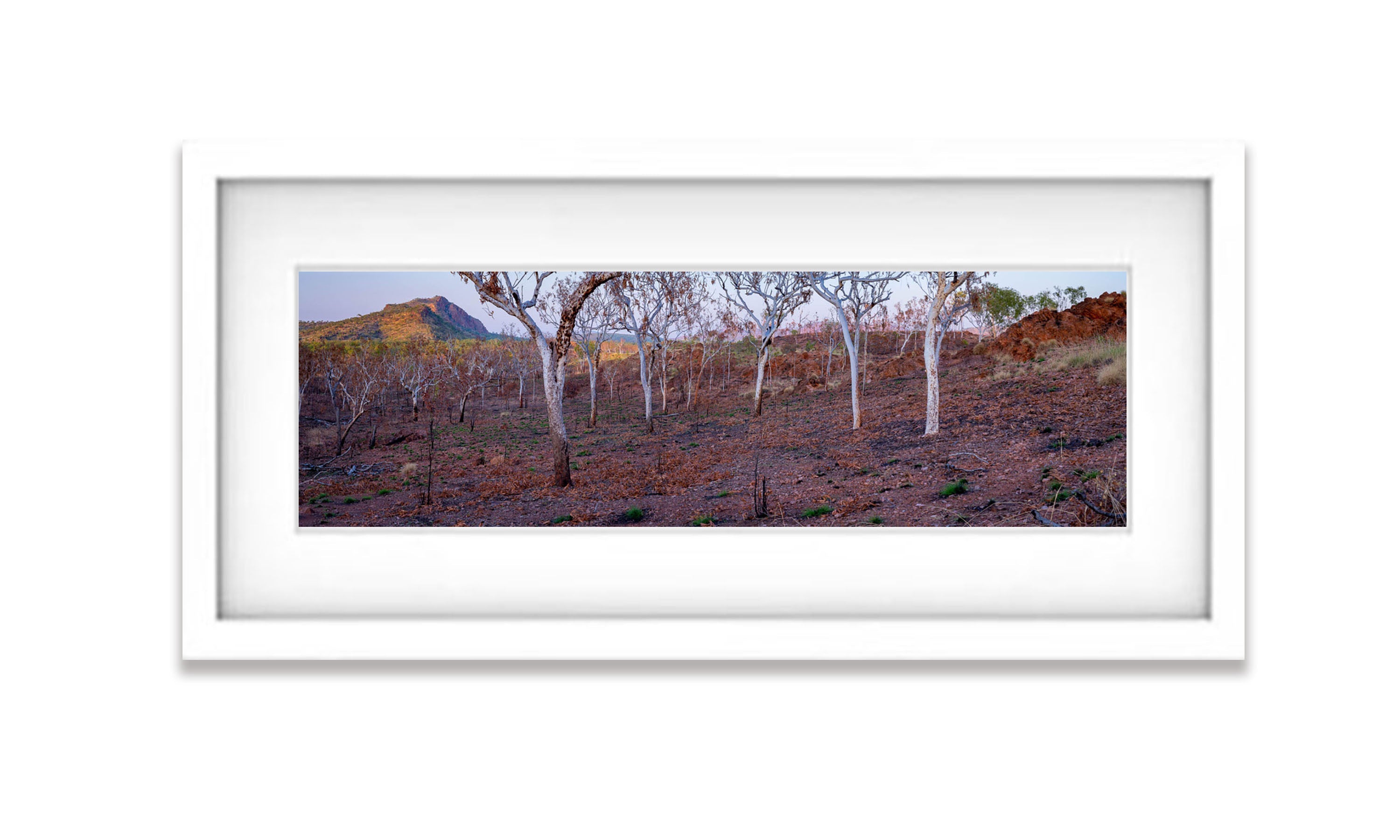 Burnt Forest, Keep River NP