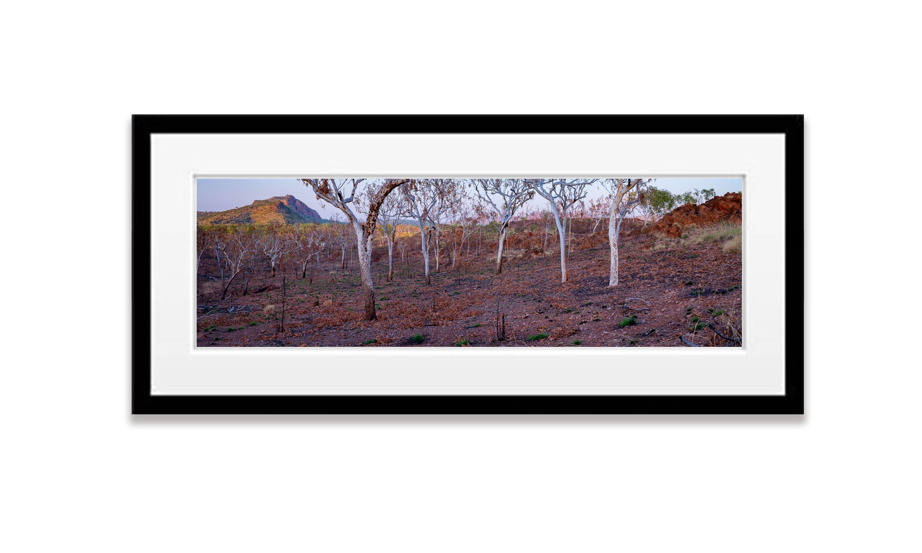 Burnt Forest, Keep River NP