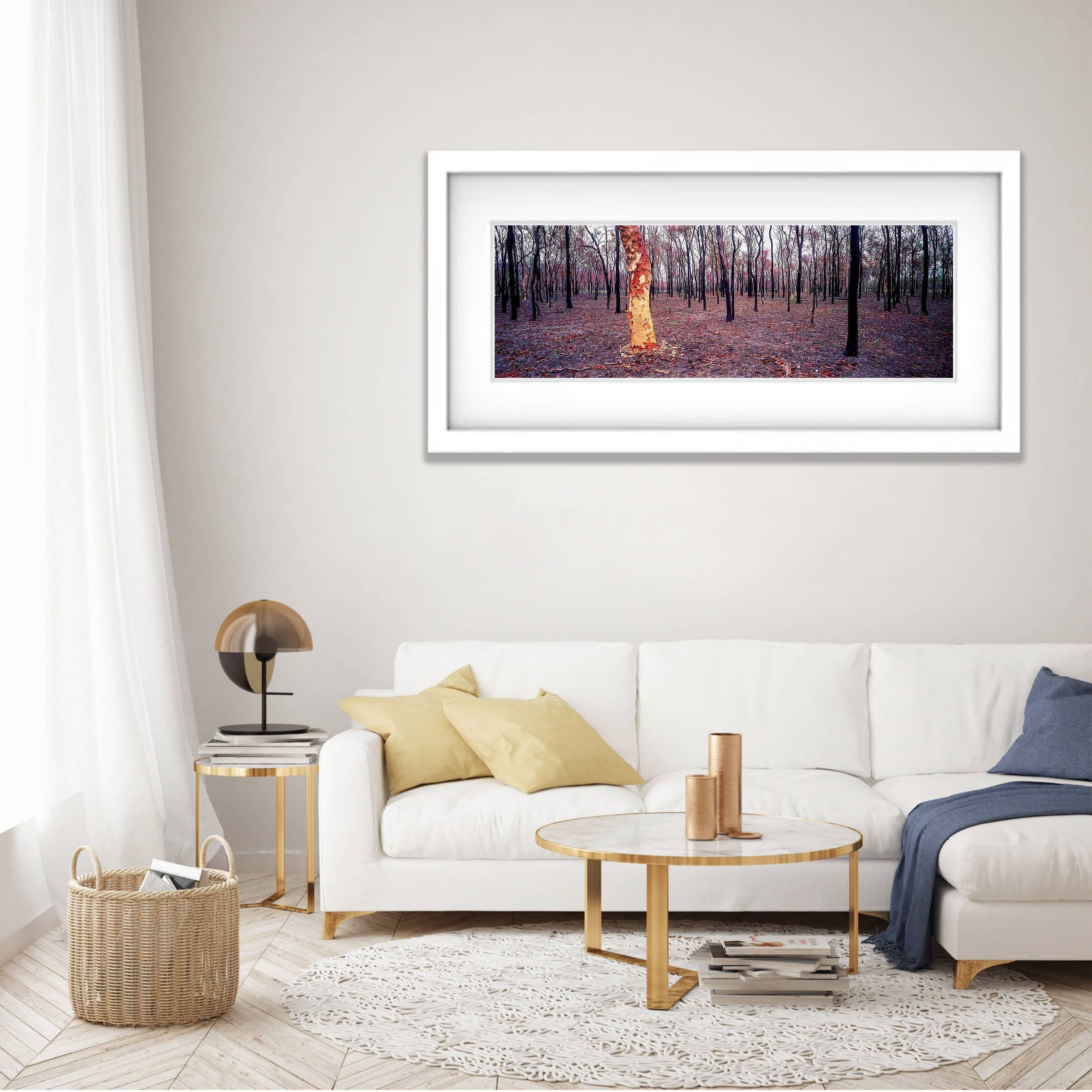 Burnt Forest - Queensland