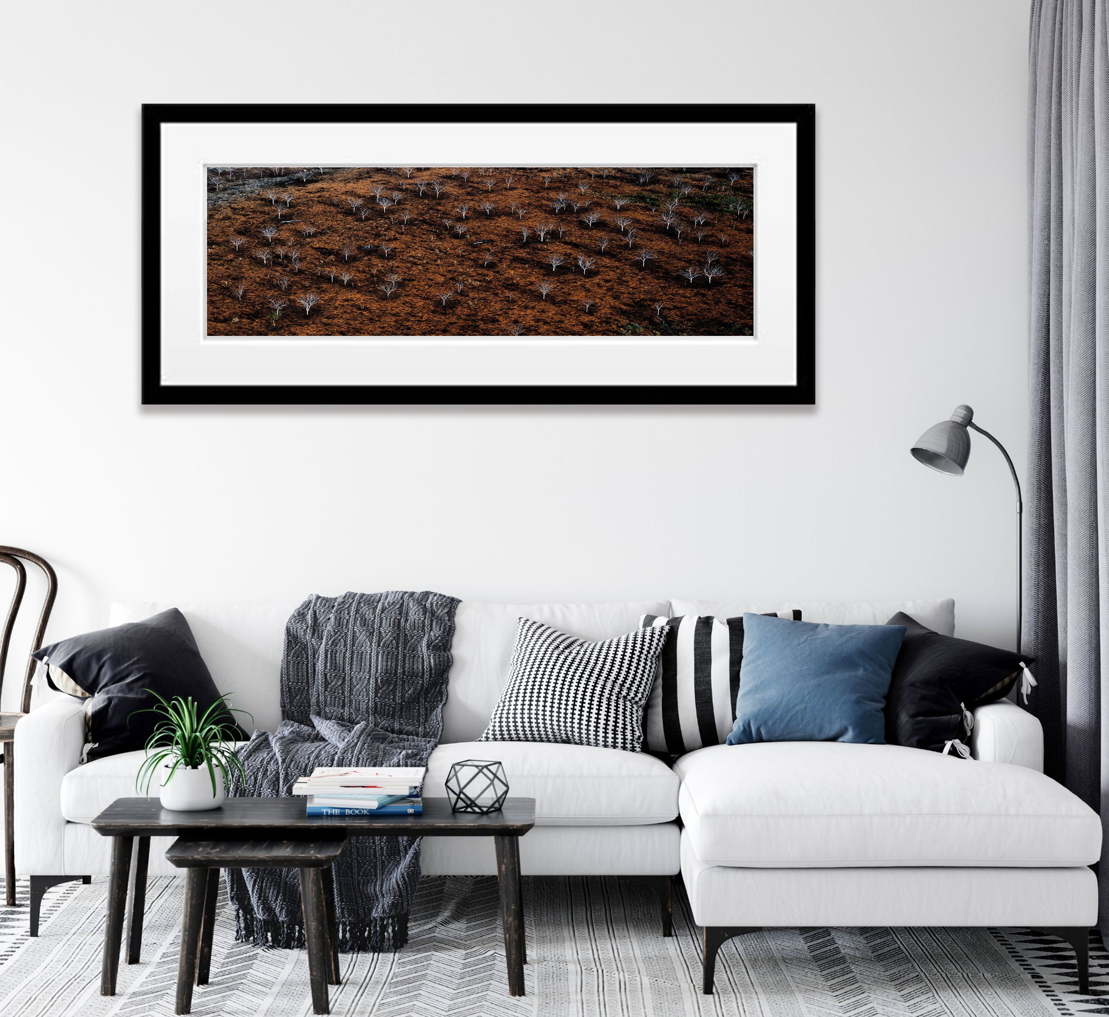 Burnt Trees, The Bungles