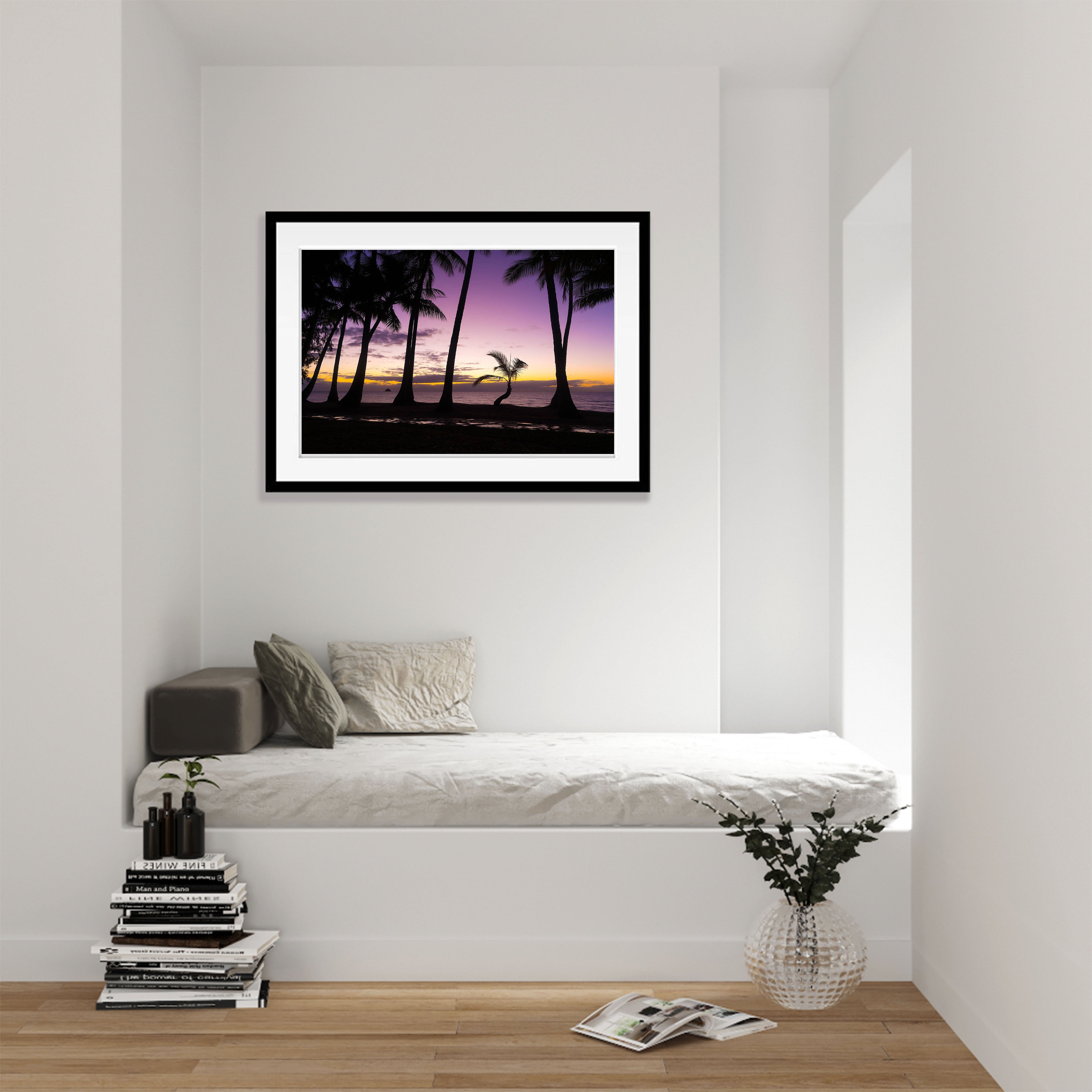 Catching Up, Lone Palm Tree, Palm Cove, Far North Queensland