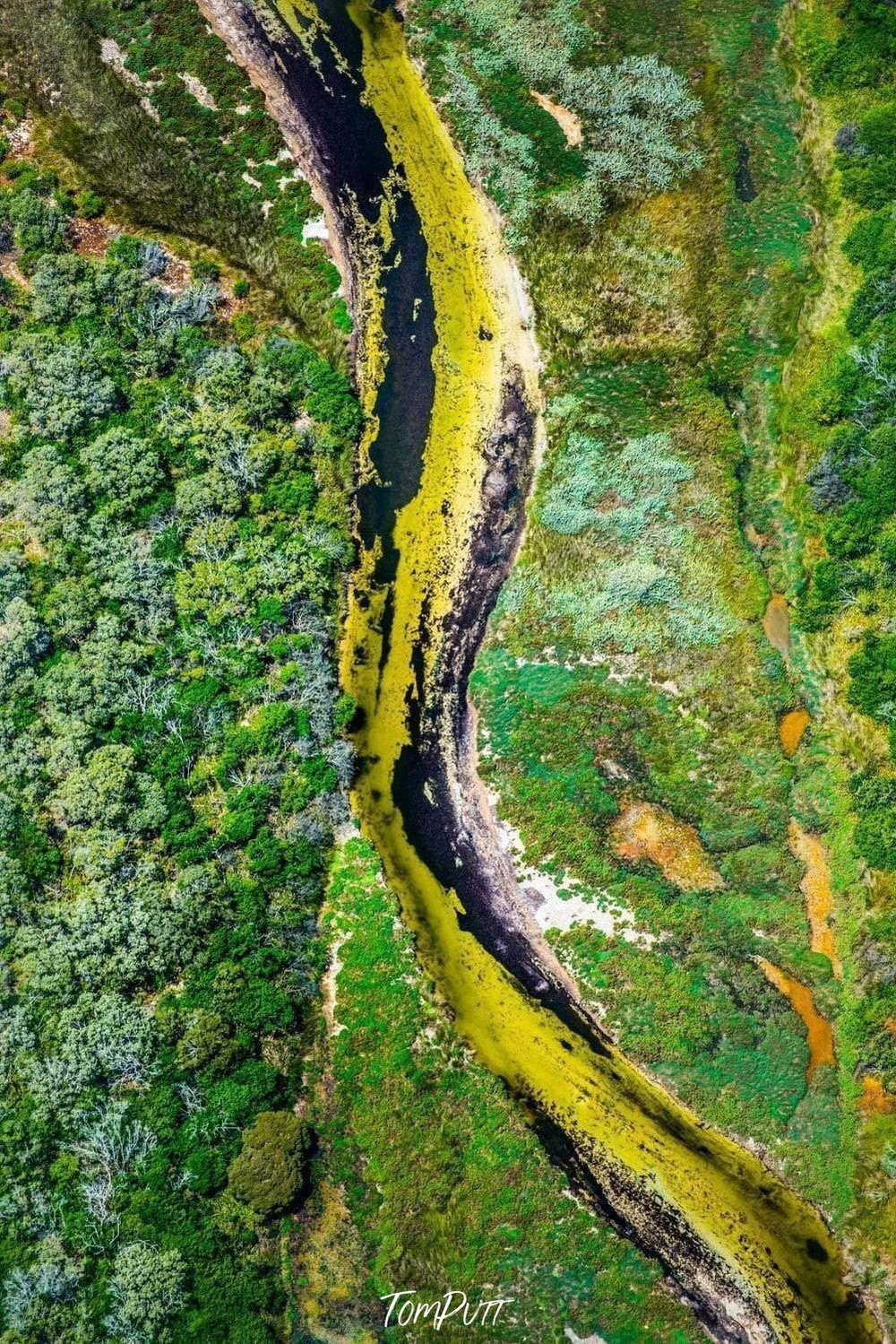 An aerial view of a giant land fully covered with trees, grass, and plants with a thick pathway of parrot-green color depicting a huge python, Coastal Busselton River