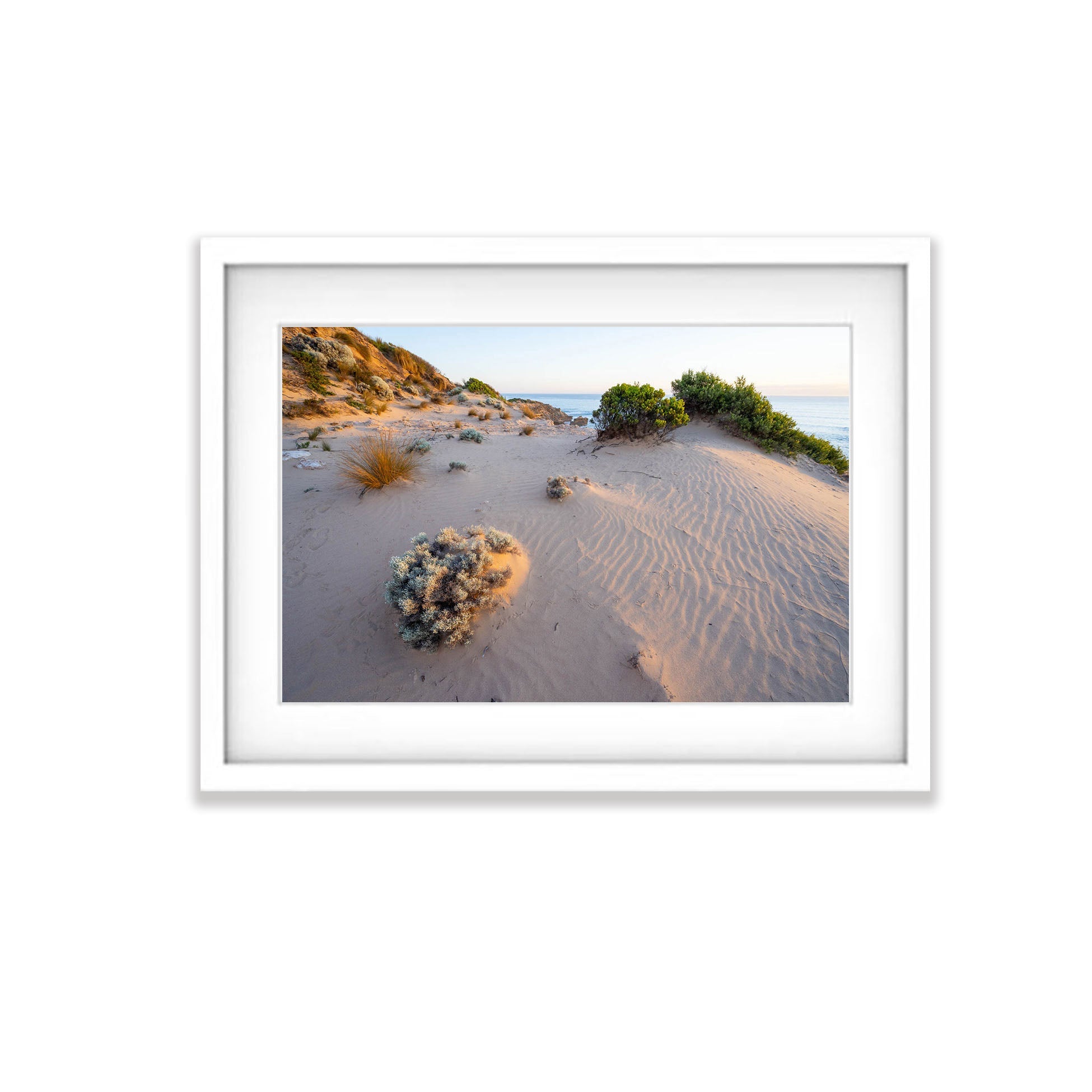 Coastal Dunescape, Sorrento