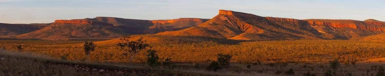A portrait of a beautiful reddish desert-like land with few small trees and a giant mountain wall with the same color shade in the far background, sunlight is hitting on the entire picture, Cockburn Ranges - The Kimberley WA