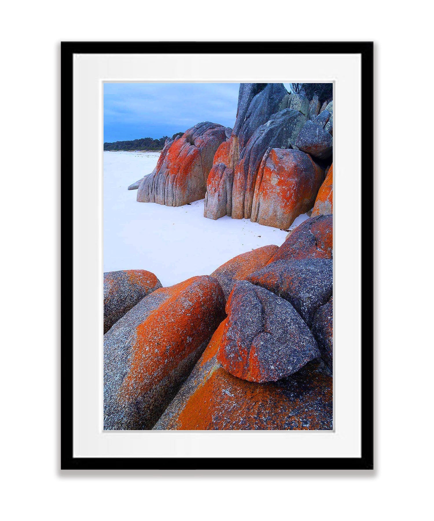 Cosy Corner Lichen-Covered Rocks, Bay of Fires