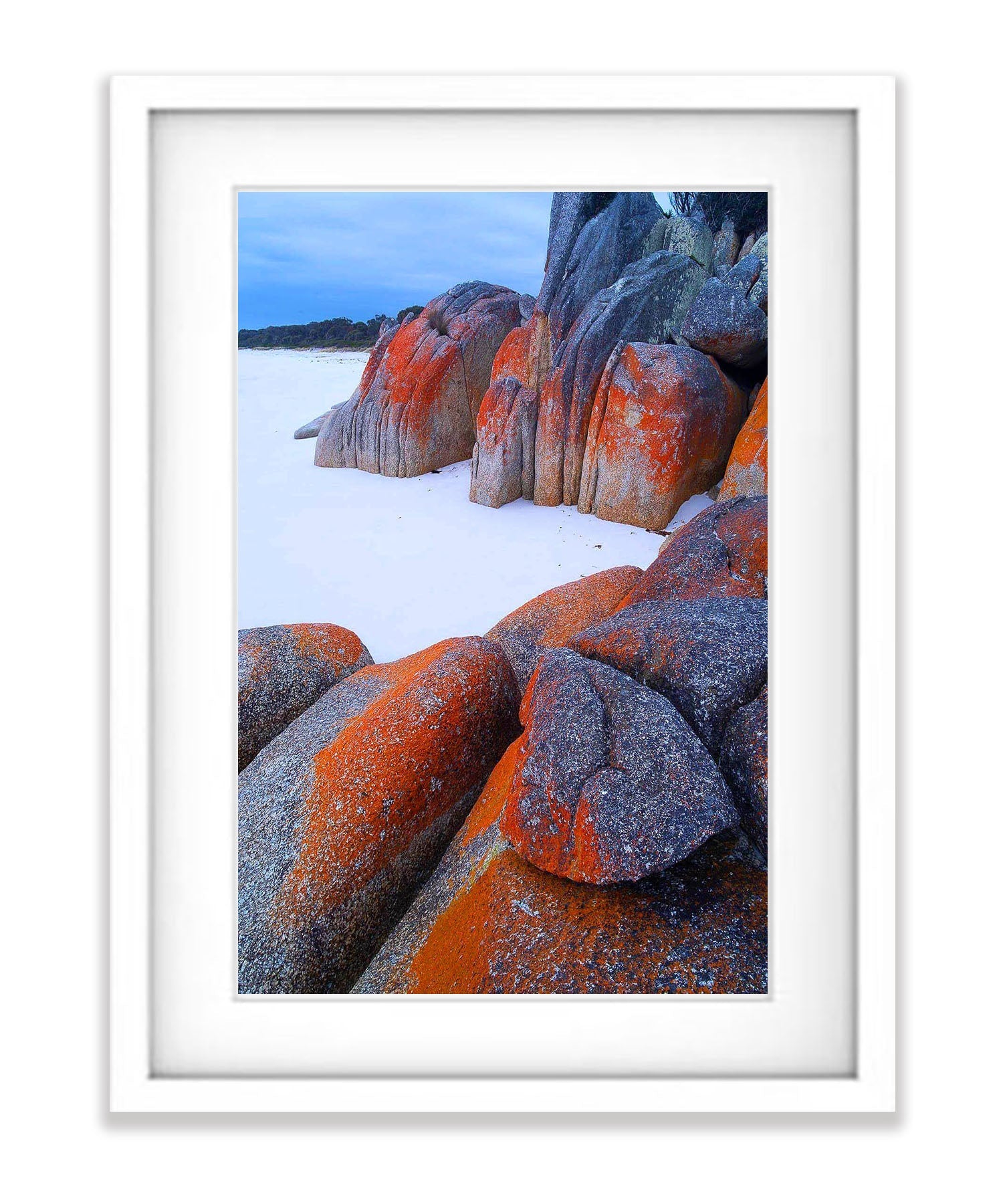 Cosy Corner Lichen-Covered Rocks, Bay of Fires