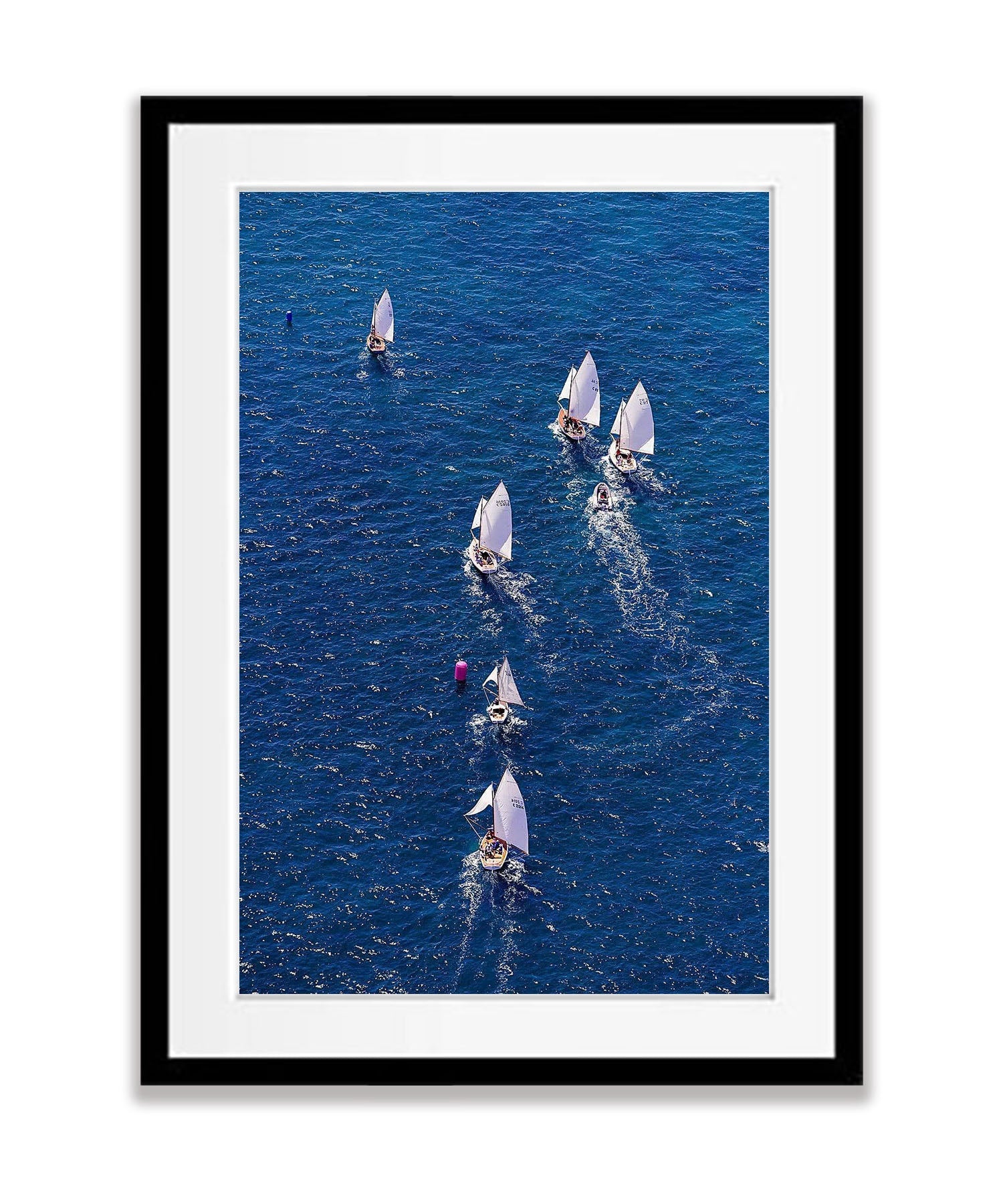 Couta Boat Racing, Sorrento, Mornington Peninsula, VIC